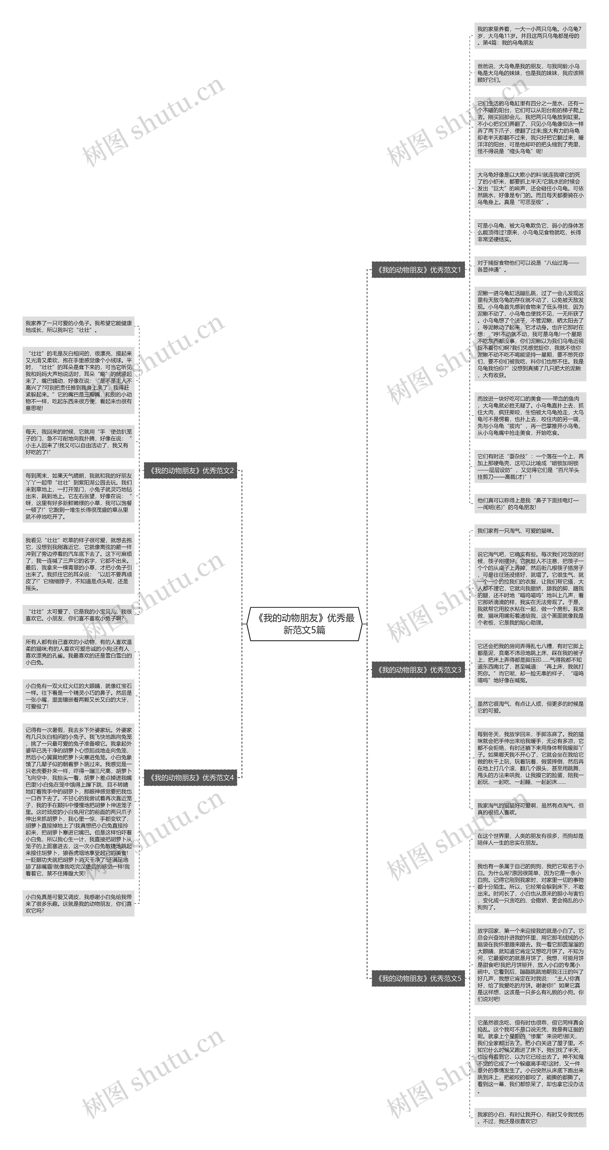 《我的动物朋友》优秀最新范文5篇思维导图