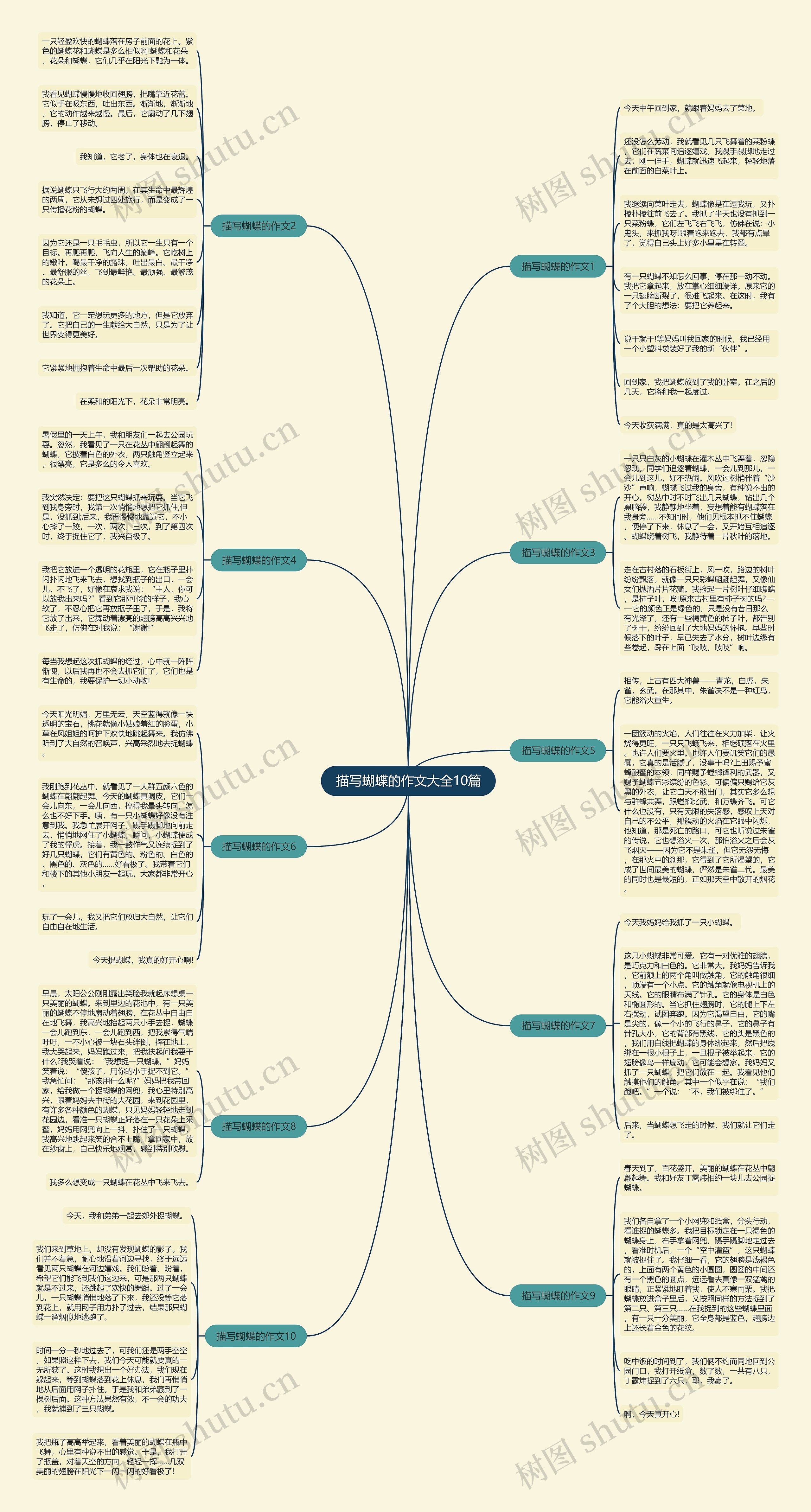 描写蝴蝶的作文大全10篇思维导图