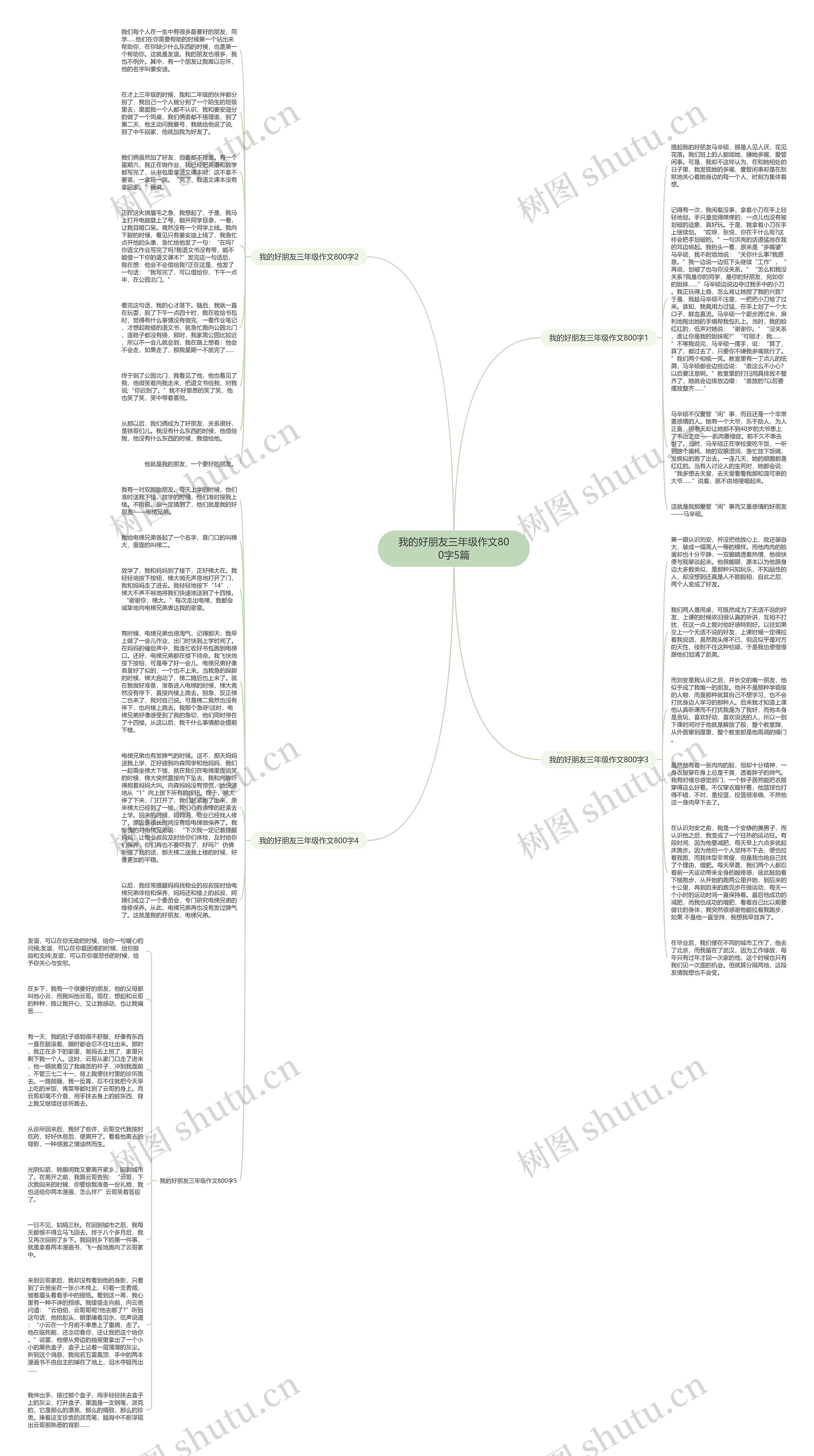 我的好朋友三年级作文800字5篇思维导图