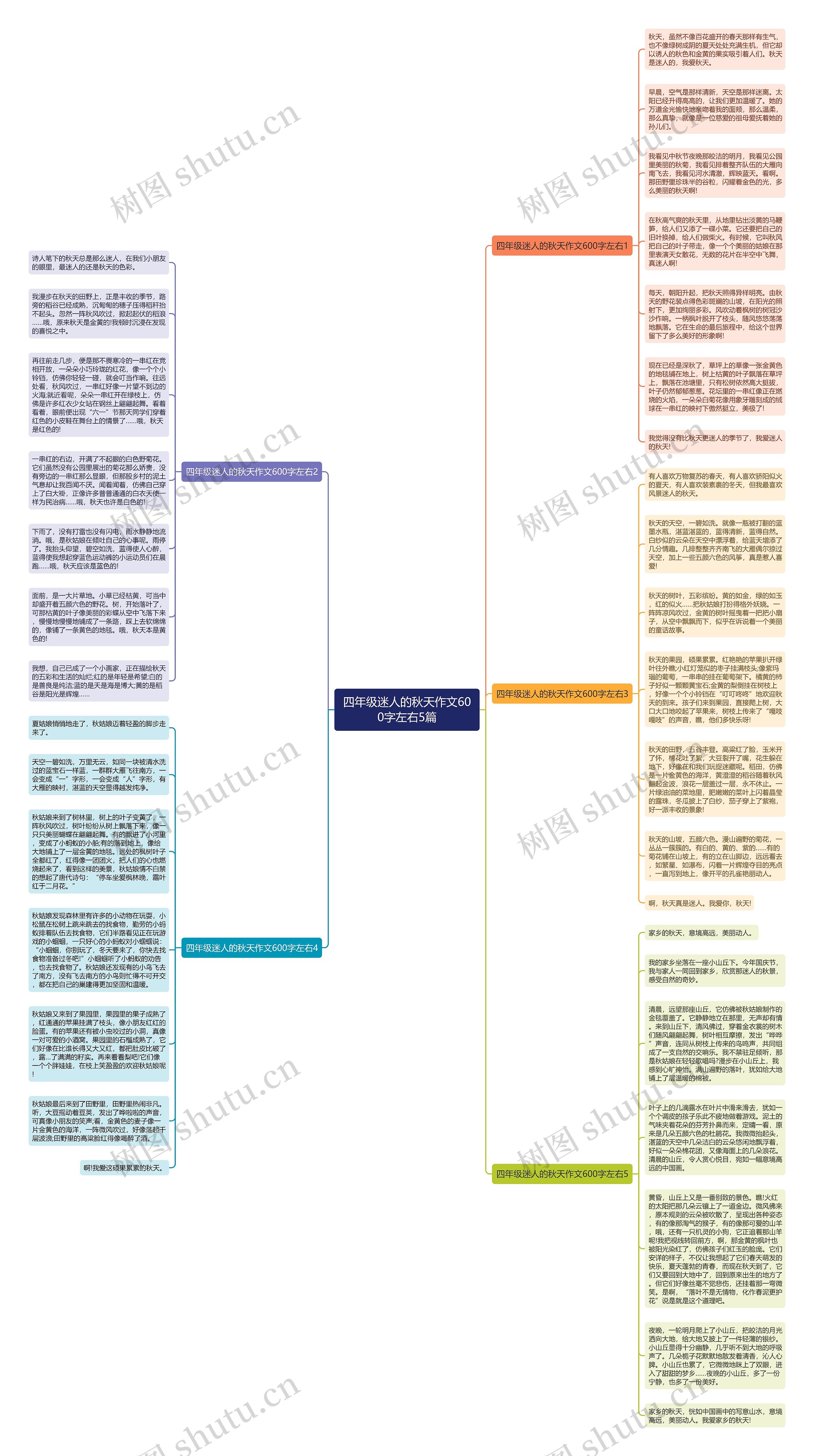 四年级迷人的秋天作文600字左右5篇思维导图