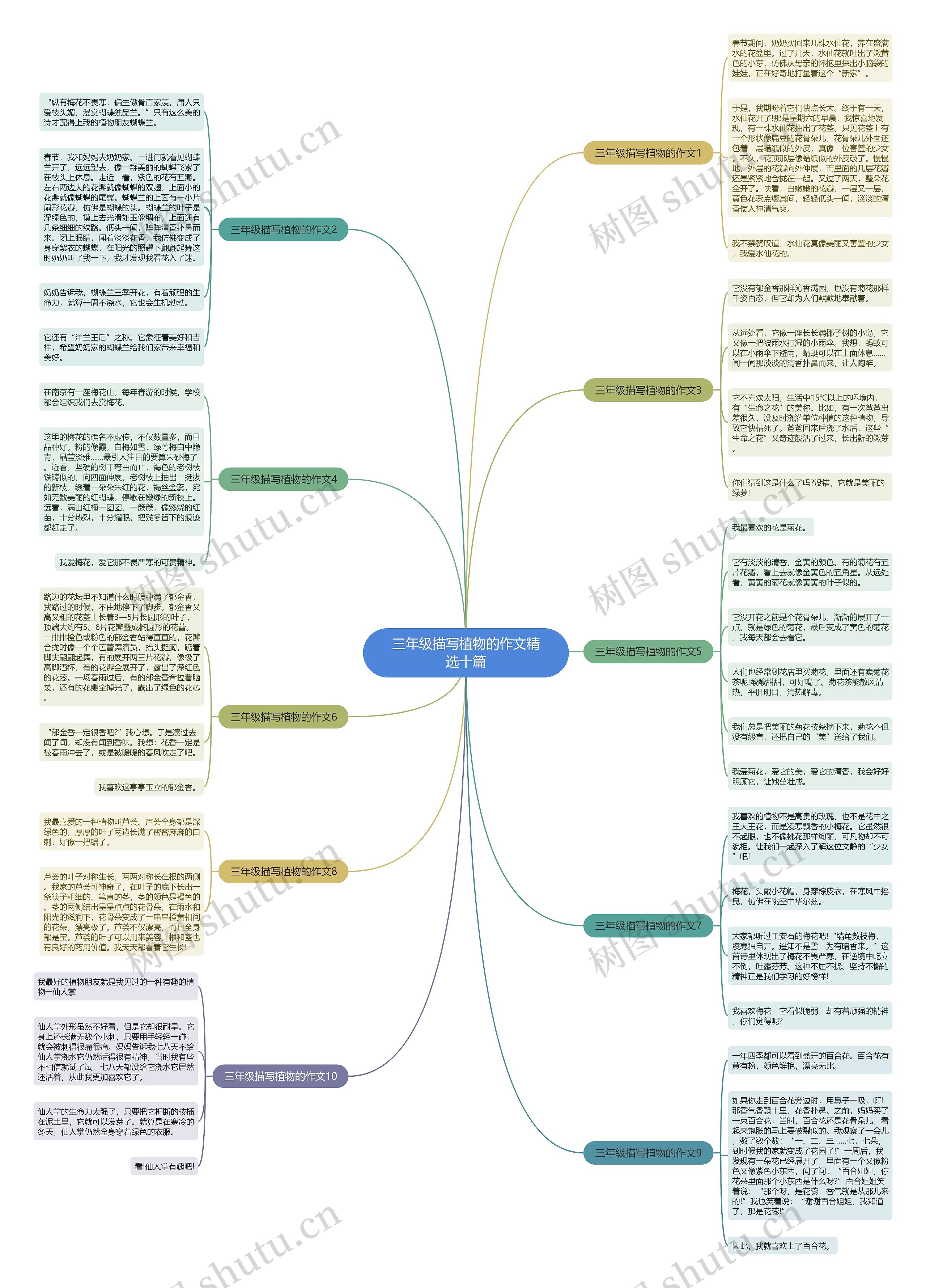 三年级描写植物的作文精选十篇思维导图