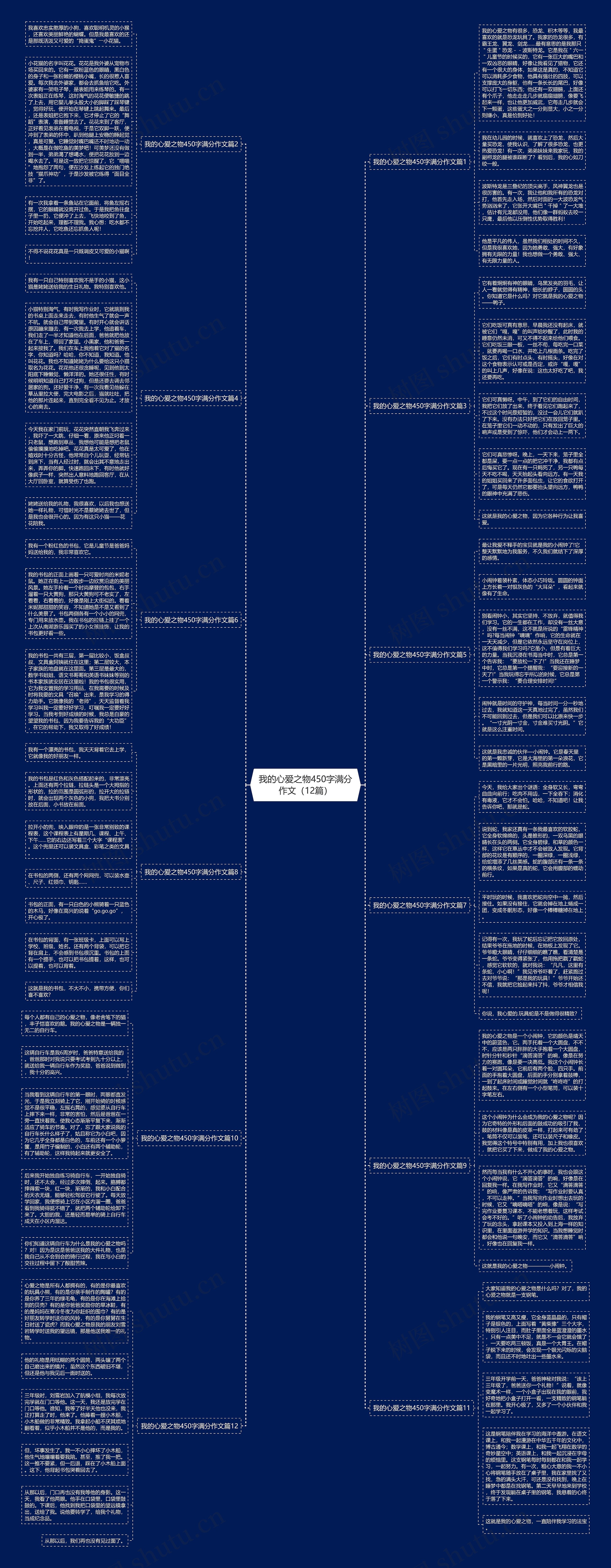 我的心爱之物450字满分作文（12篇）思维导图