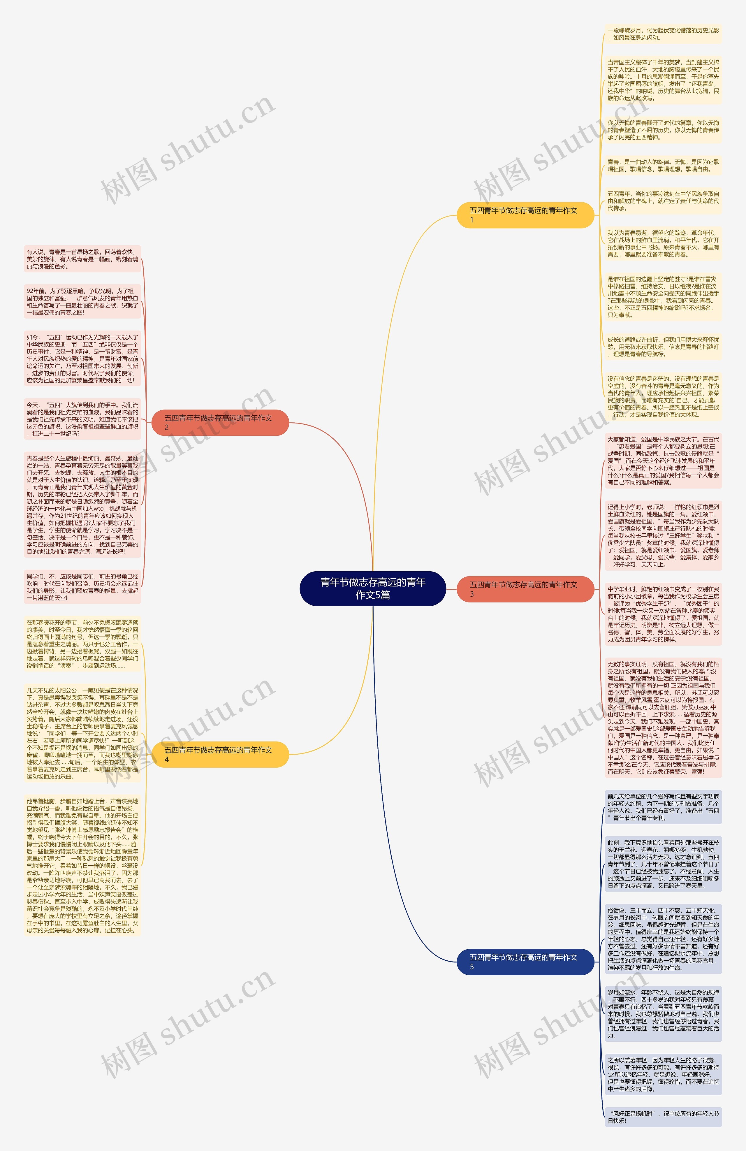 青年节做志存高远的青年作文5篇思维导图