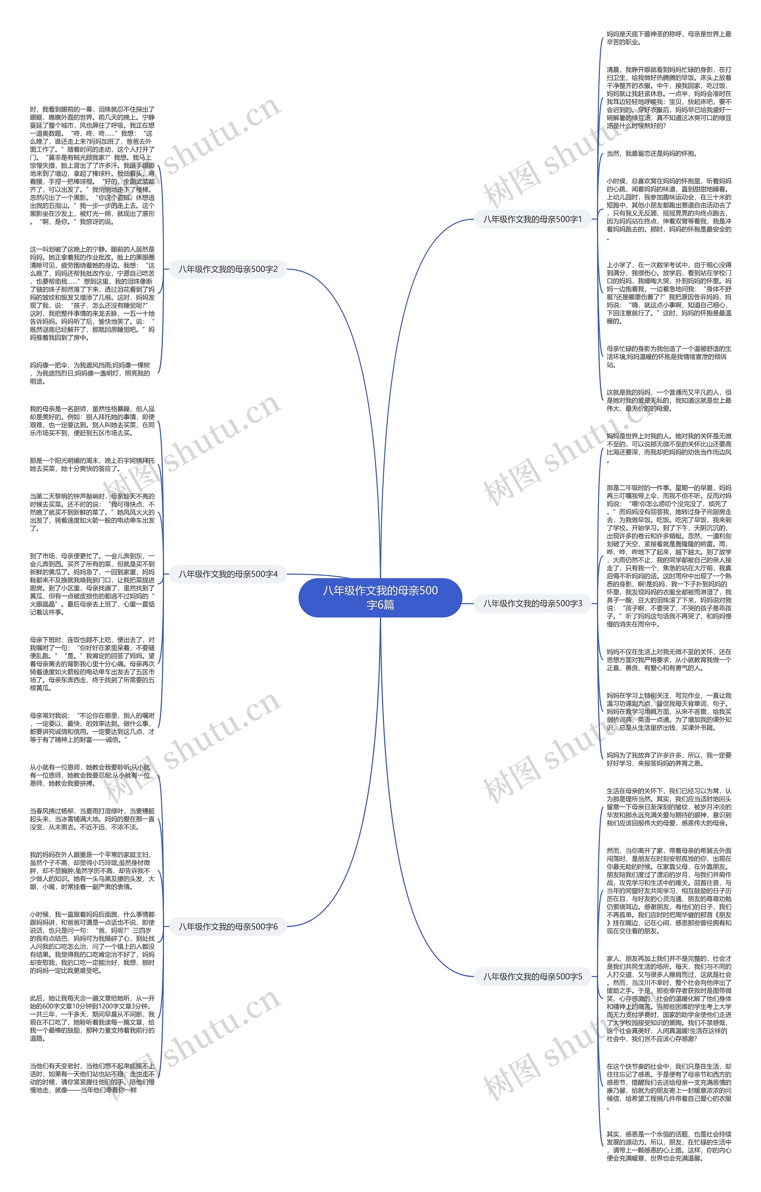 八年级作文我的母亲500字6篇思维导图
