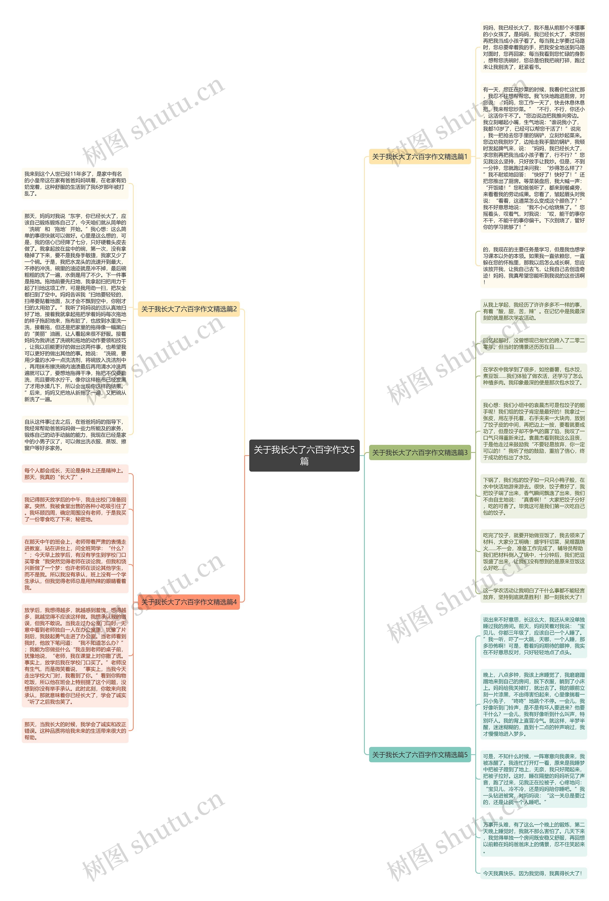 关于我长大了六百字作文5篇思维导图