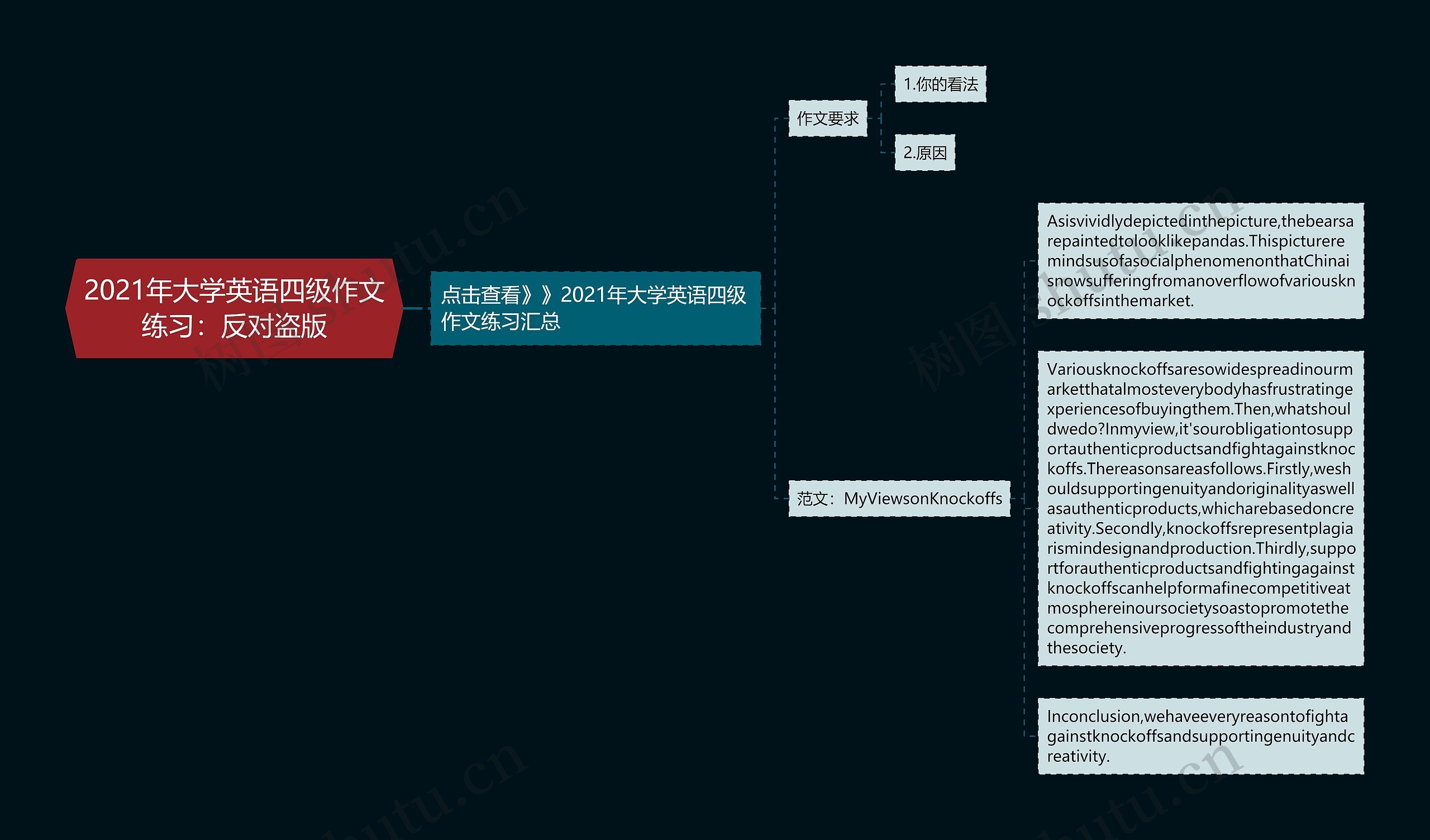 2021年大学英语四级作文练习：反对盗版思维导图