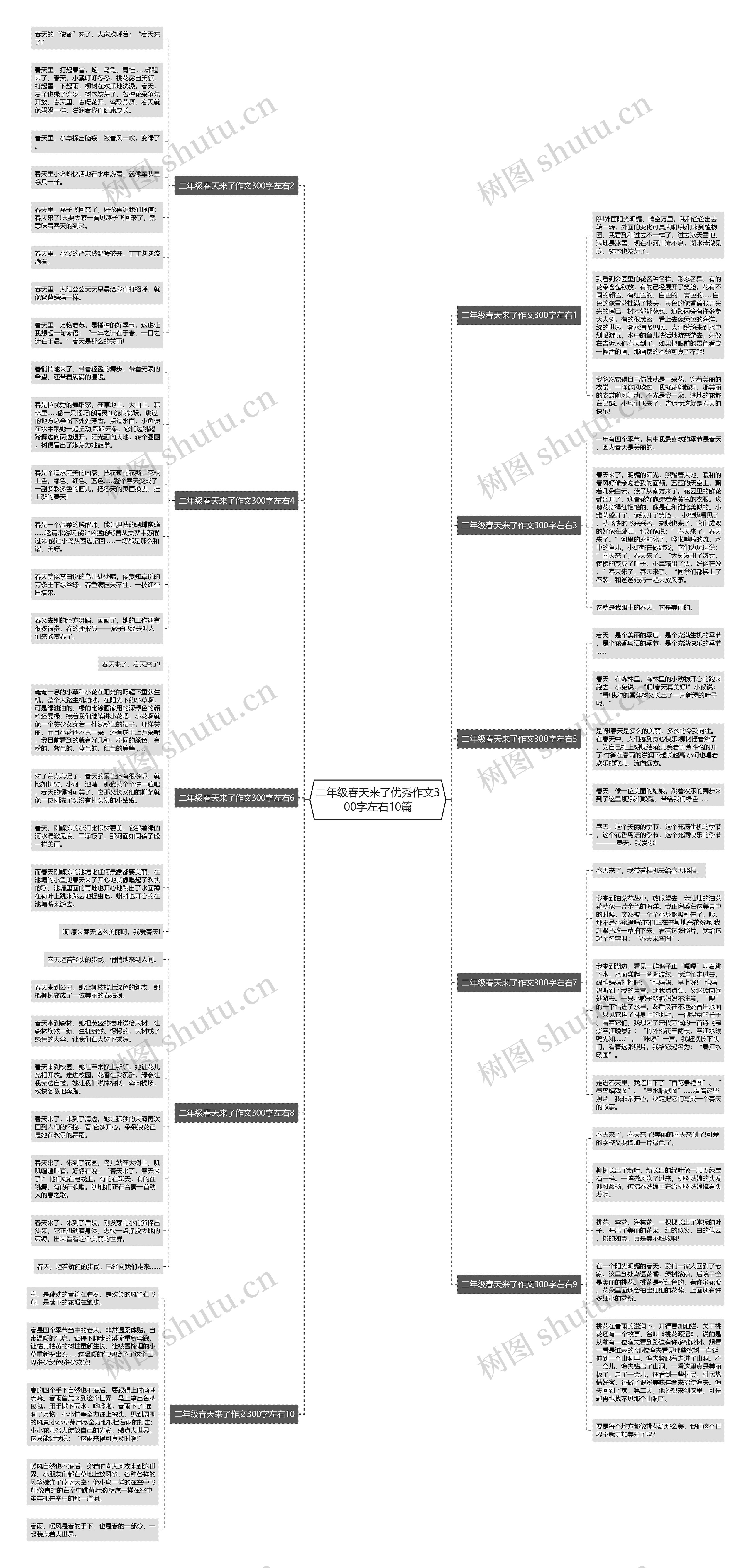 二年级春天来了优秀作文300字左右10篇思维导图