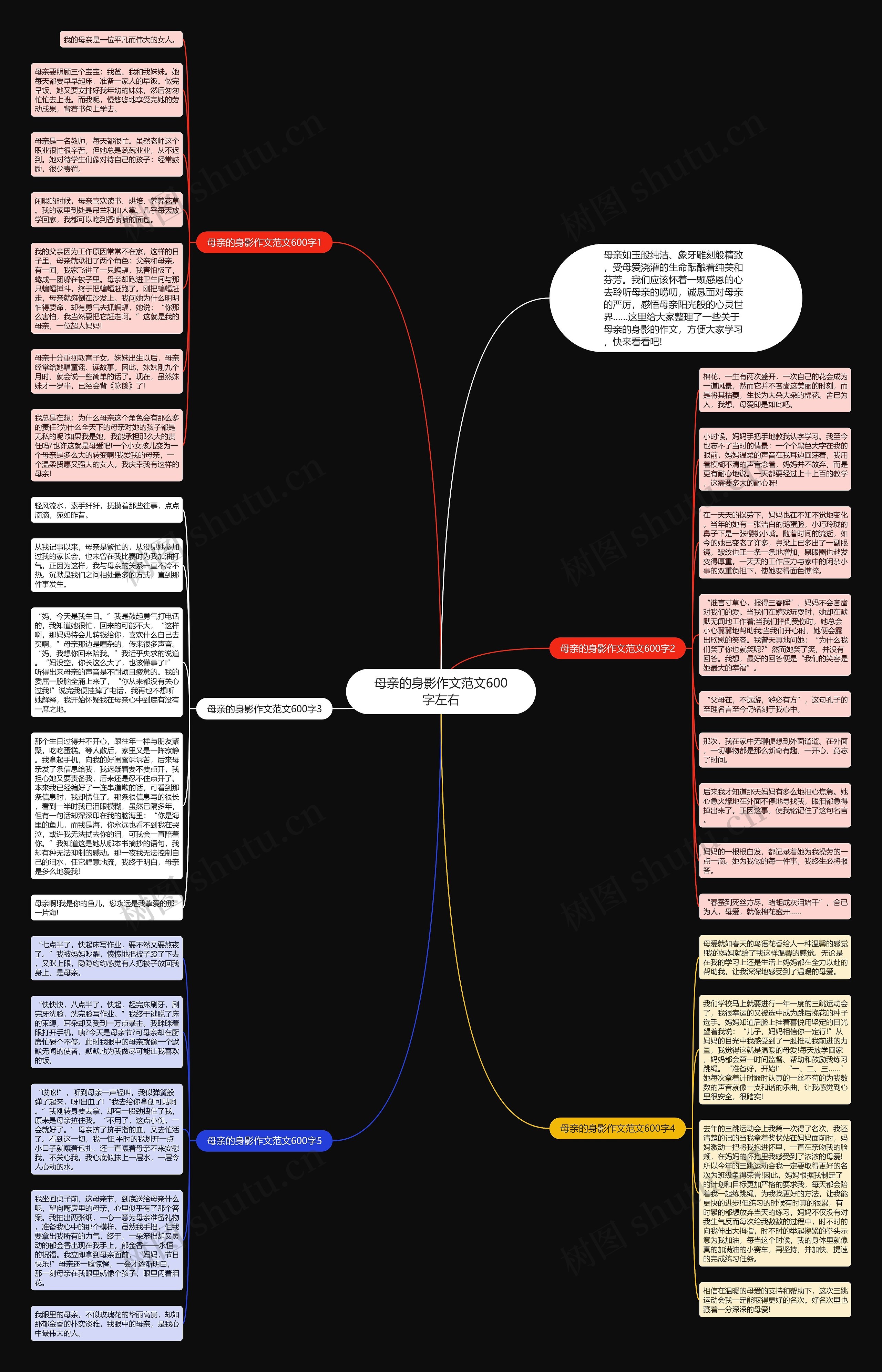 母亲的身影作文范文600字左右思维导图