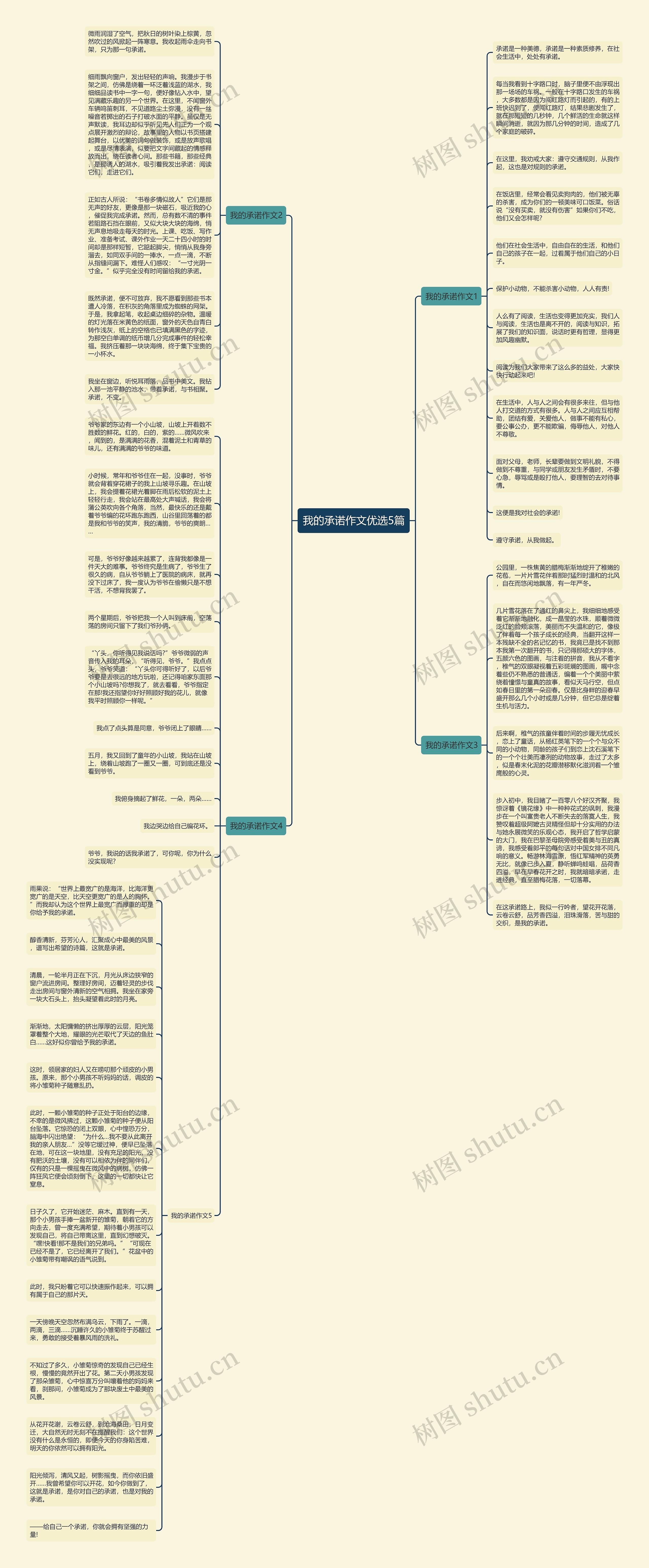 我的承诺作文优选5篇思维导图