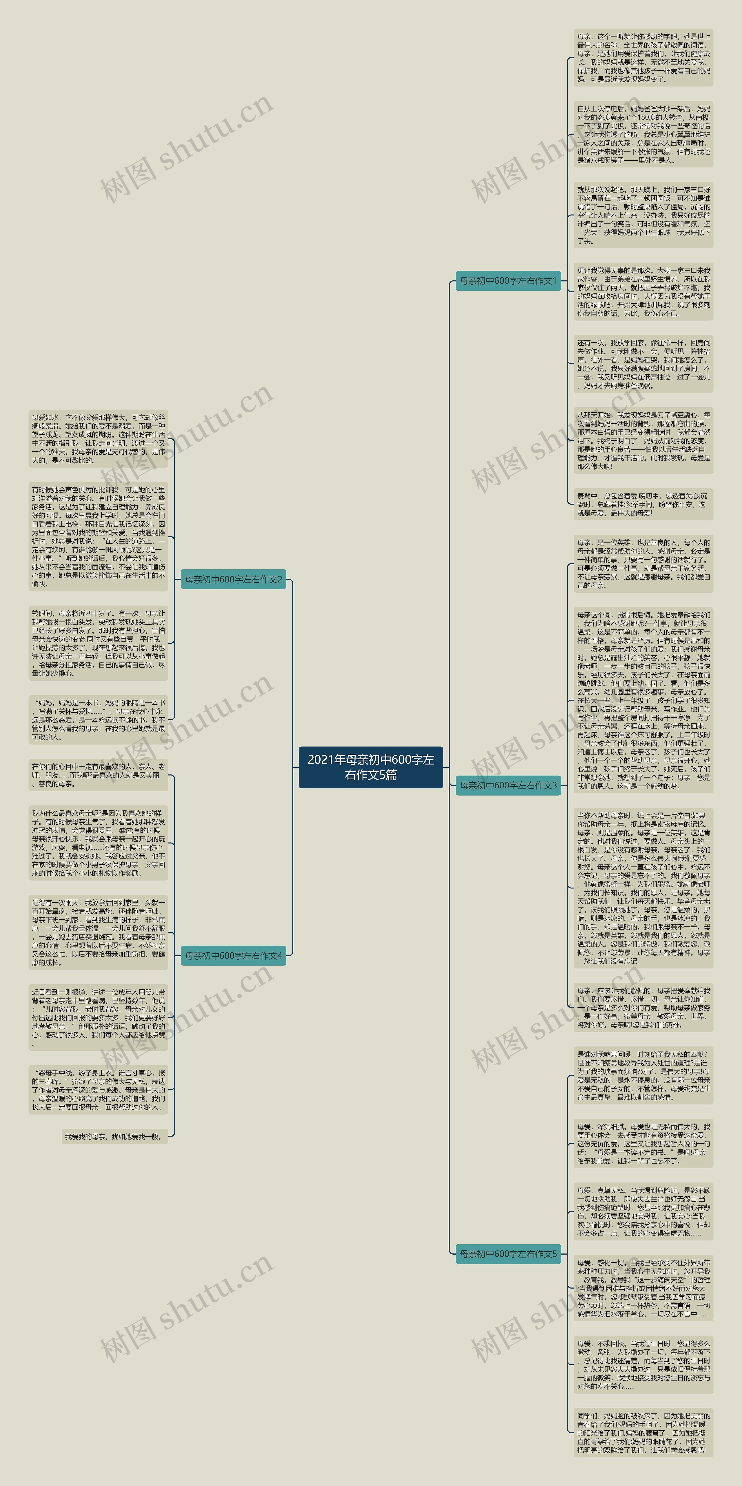 2021年母亲初中600字左右作文5篇思维导图