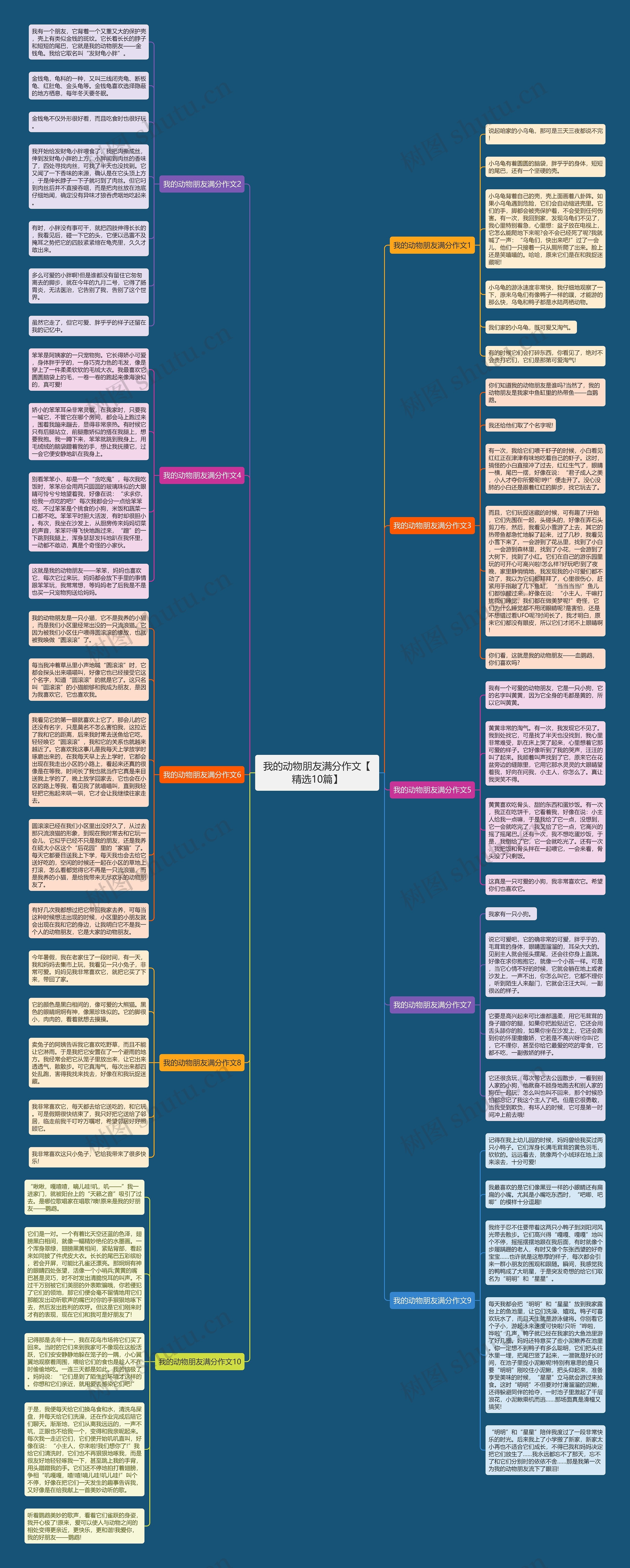我的动物朋友满分作文【精选10篇】思维导图