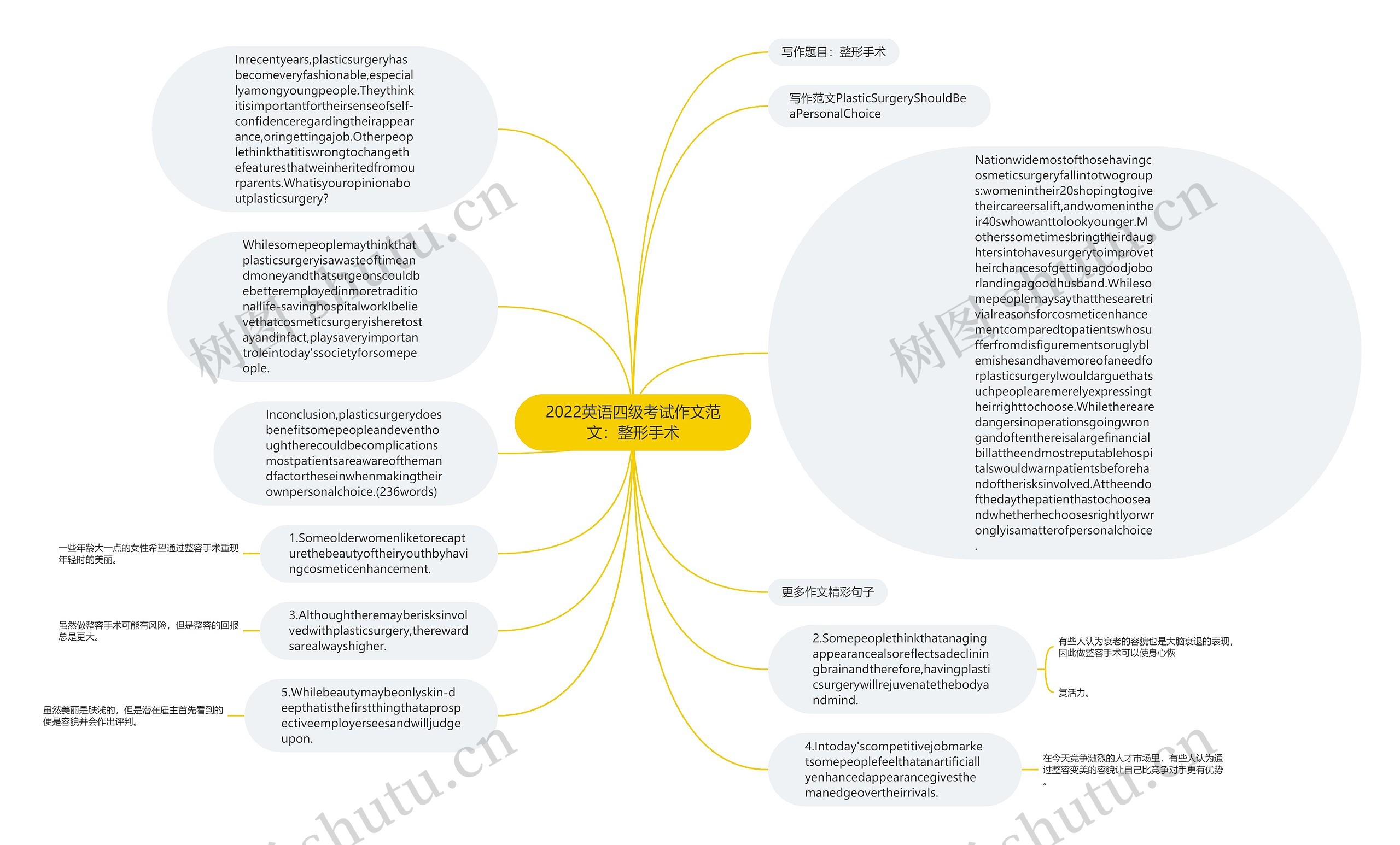 2022英语四级考试作文范文：整形手术思维导图