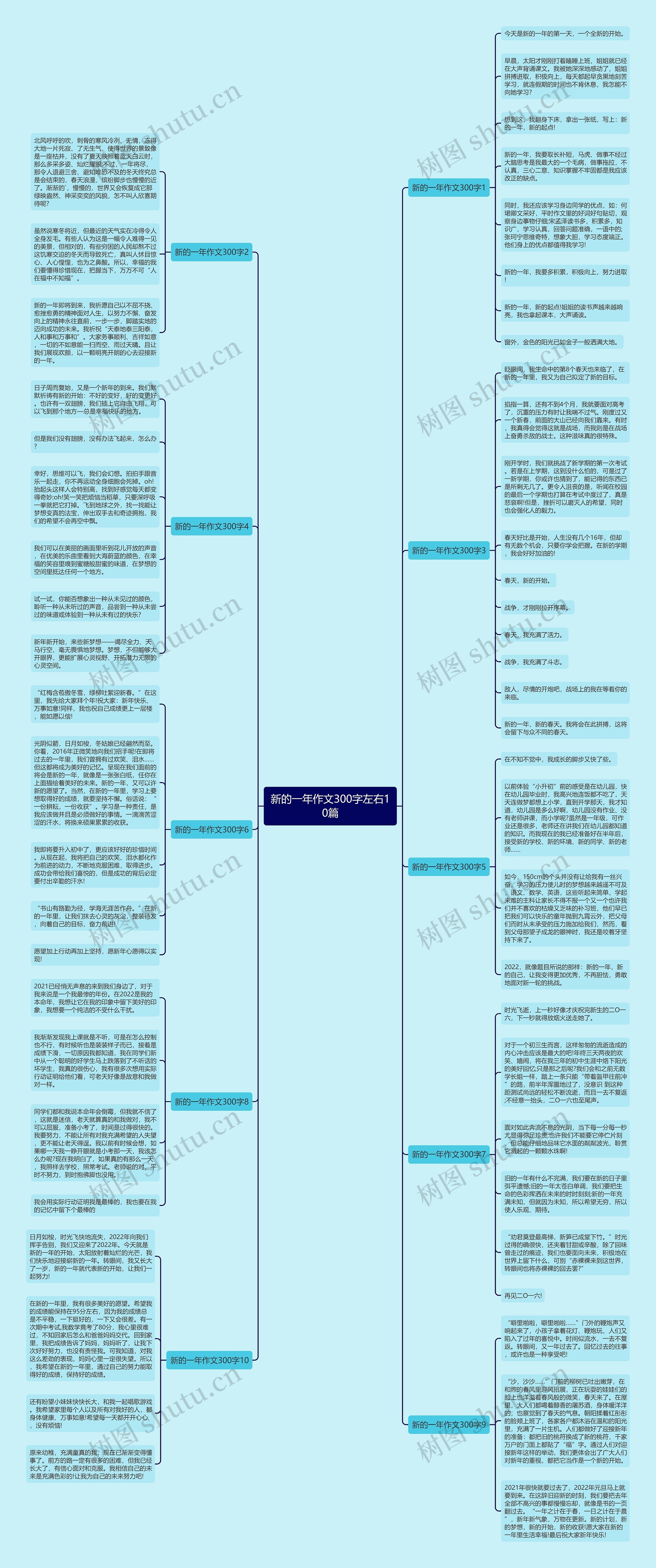 新的一年作文300字左右10篇思维导图