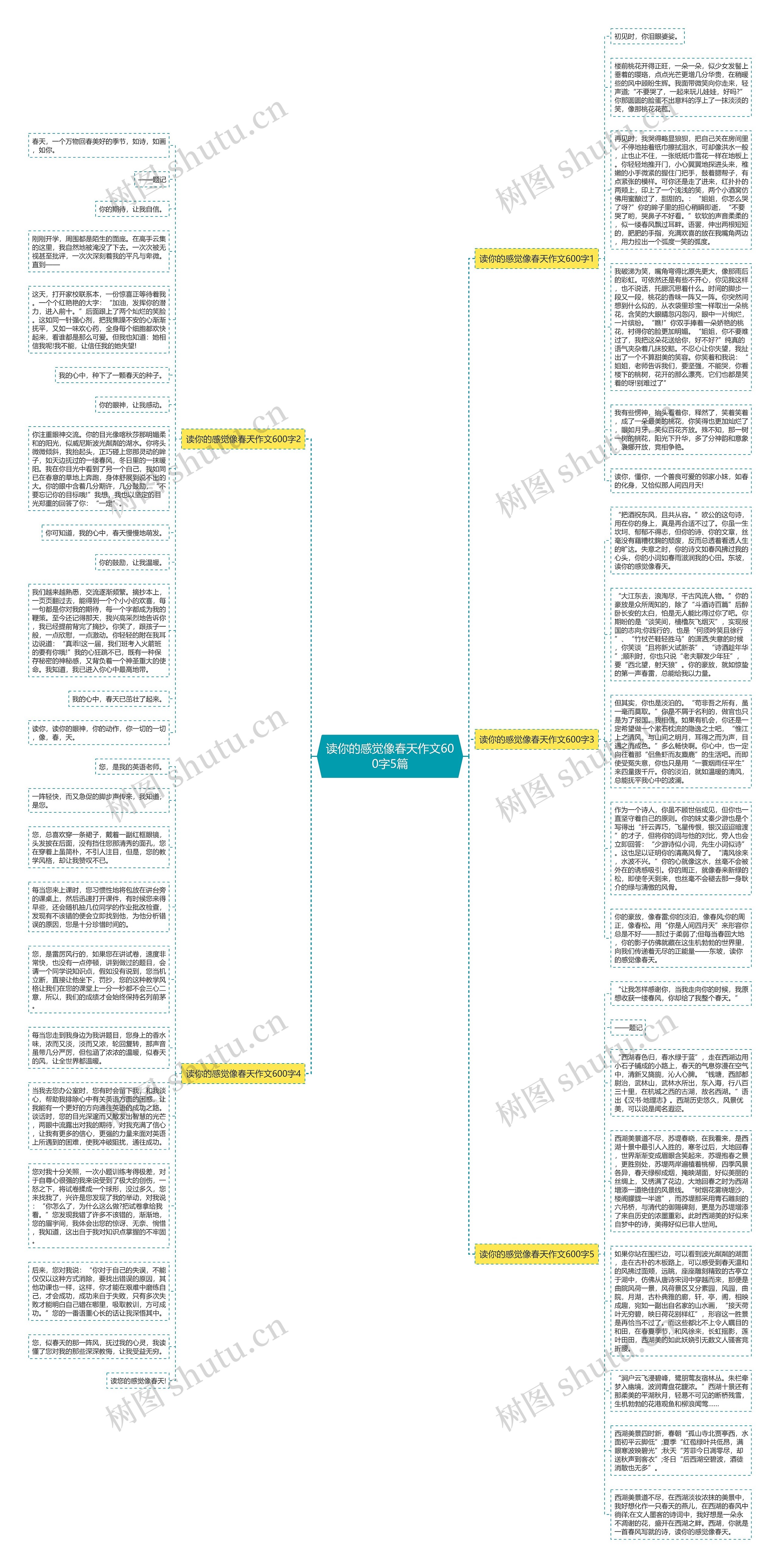 读你的感觉像春天作文600字5篇思维导图