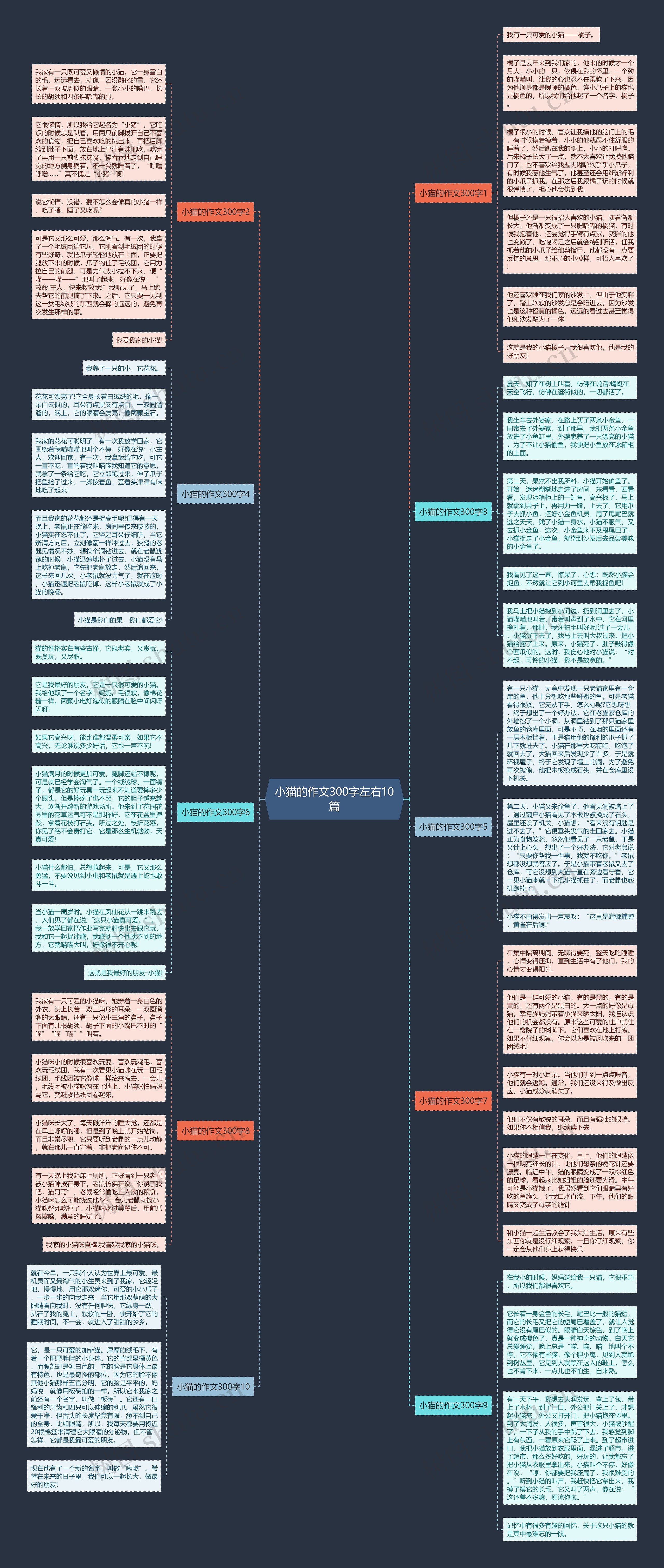 小猫的作文300字左右10篇思维导图