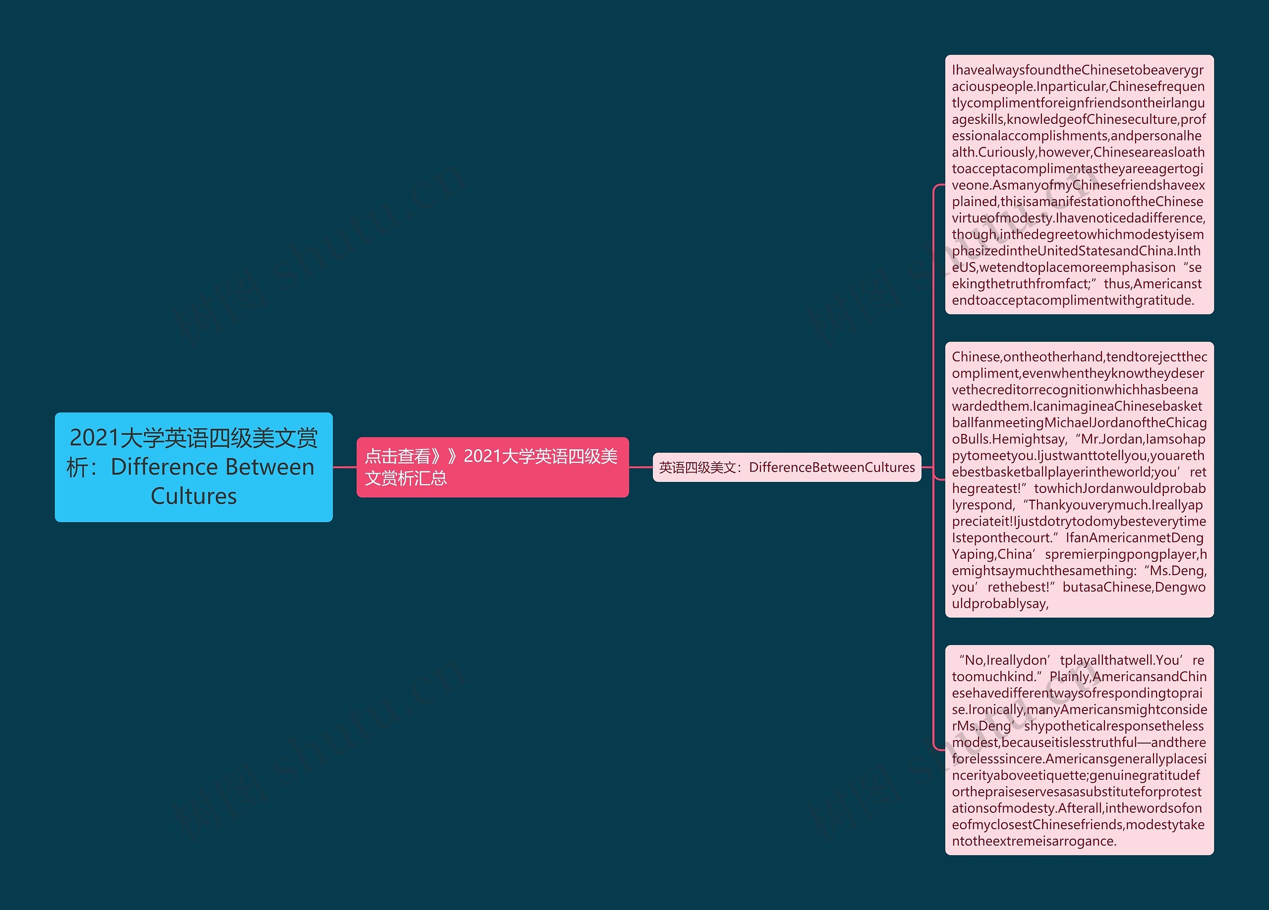 2021大学英语四级美文赏析：Difference Between Cultures思维导图