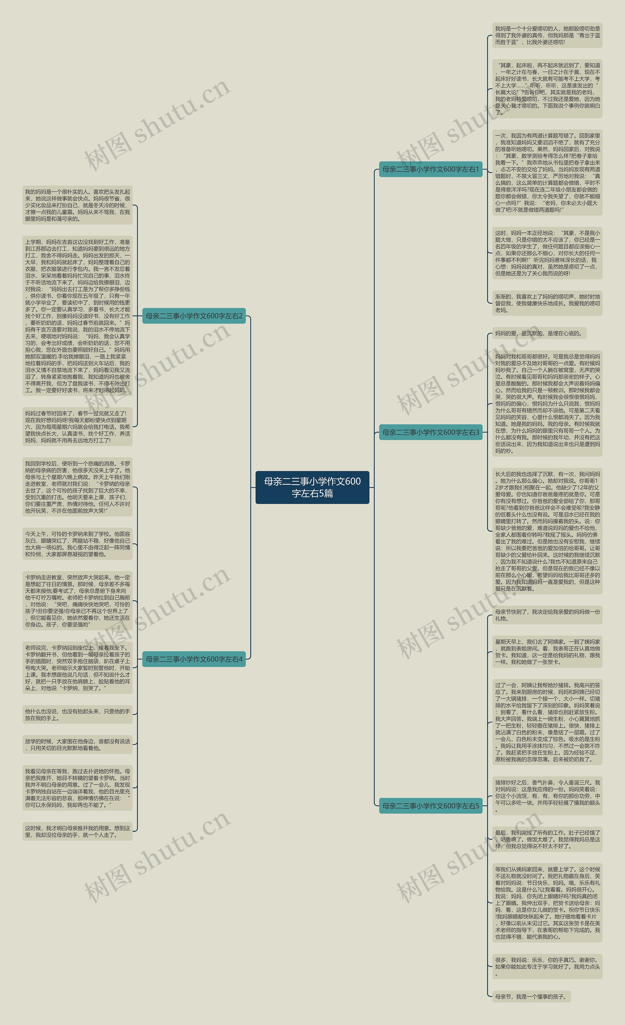母亲二三事小学作文600字左右5篇思维导图