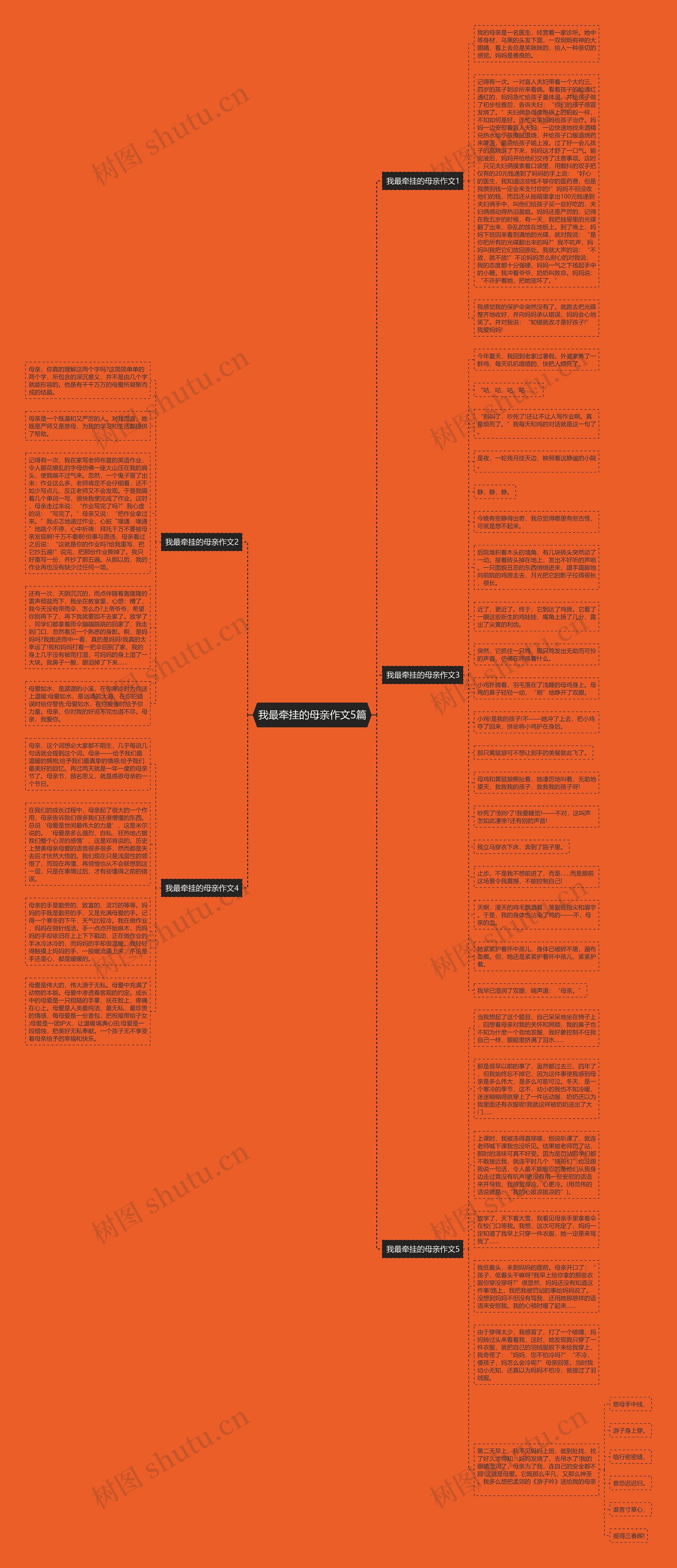 我最牵挂的母亲作文5篇思维导图