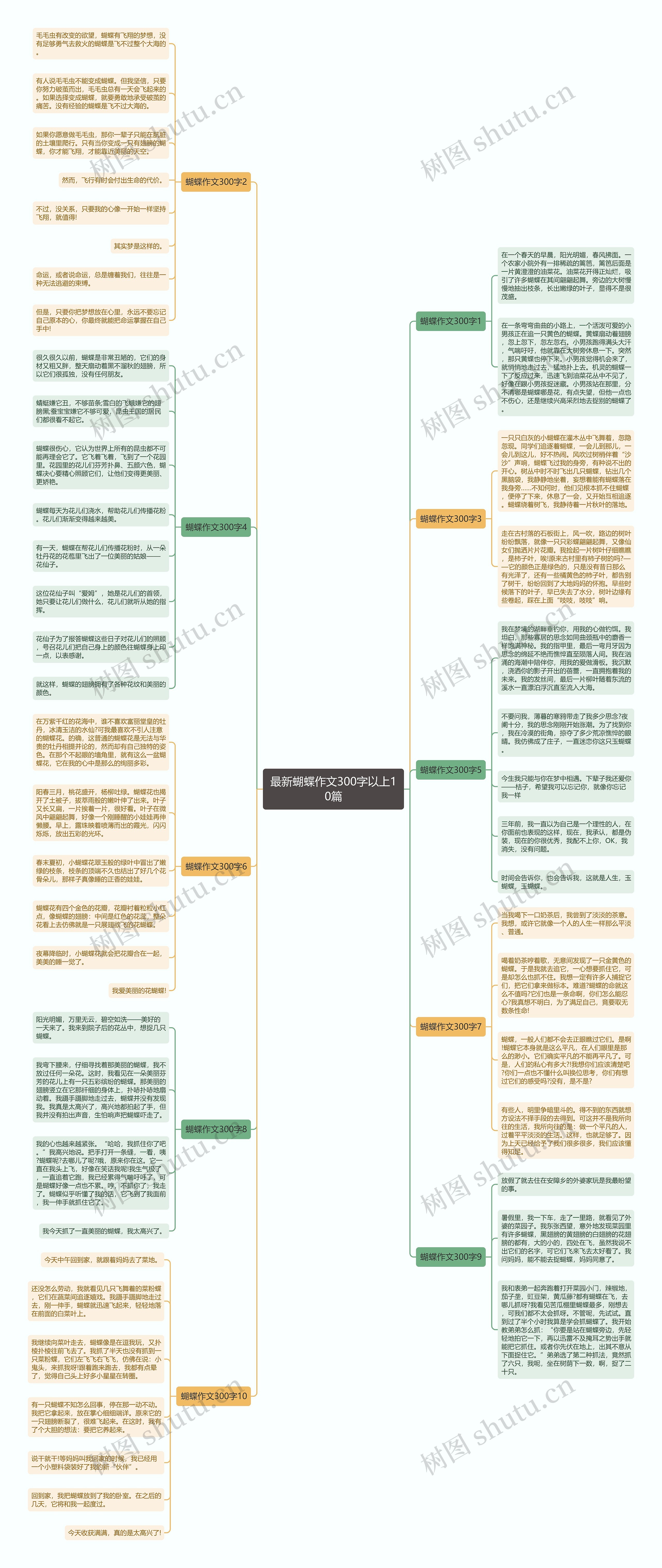 最新蝴蝶作文300字以上10篇思维导图