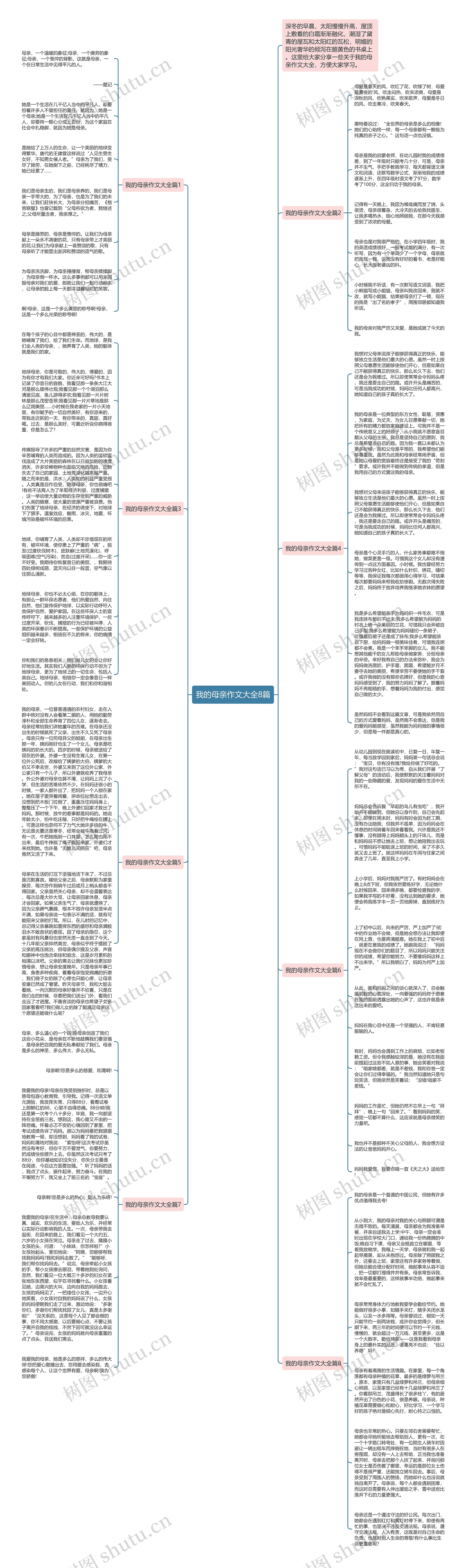 我的母亲作文大全8篇思维导图