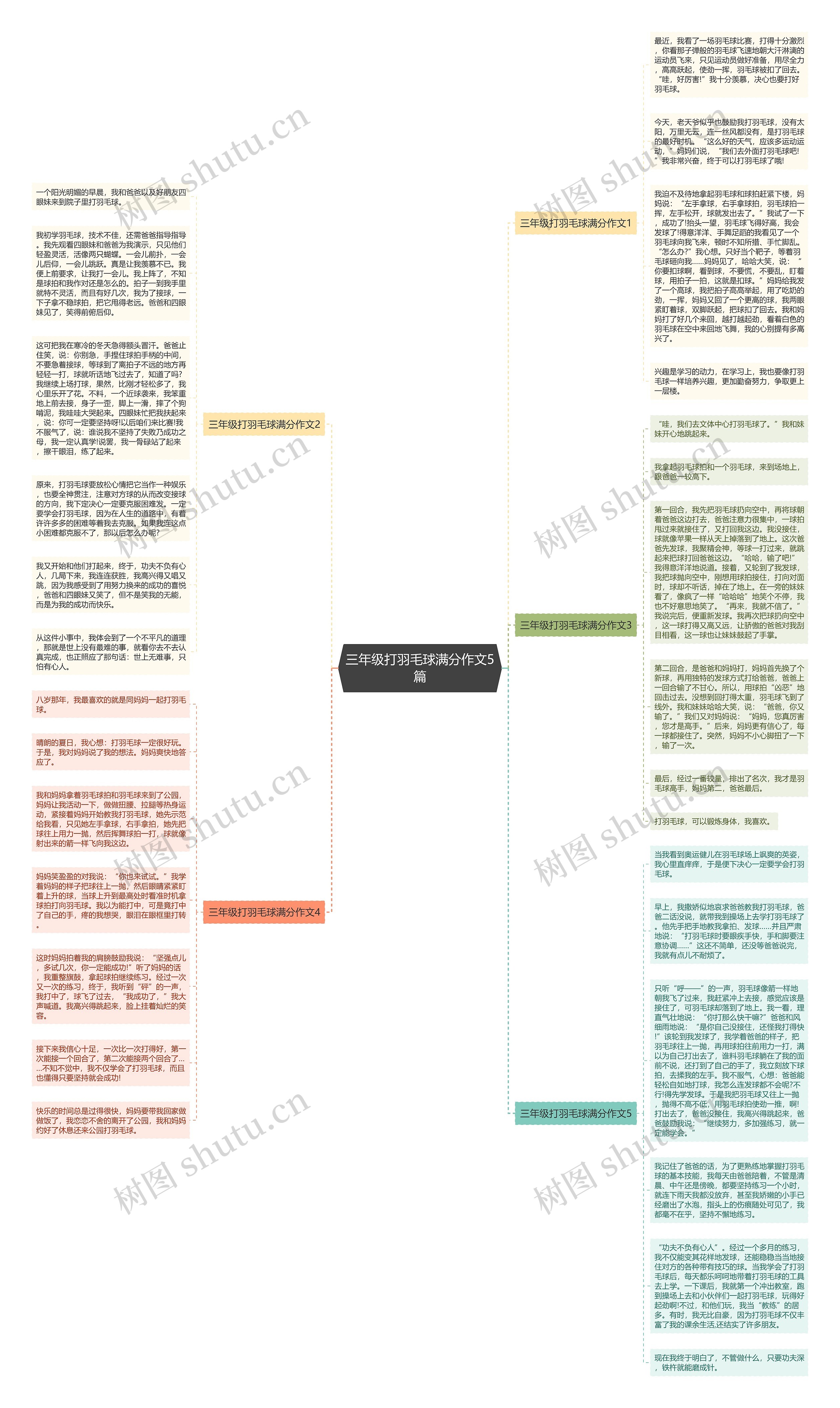 三年级打羽毛球满分作文5篇思维导图