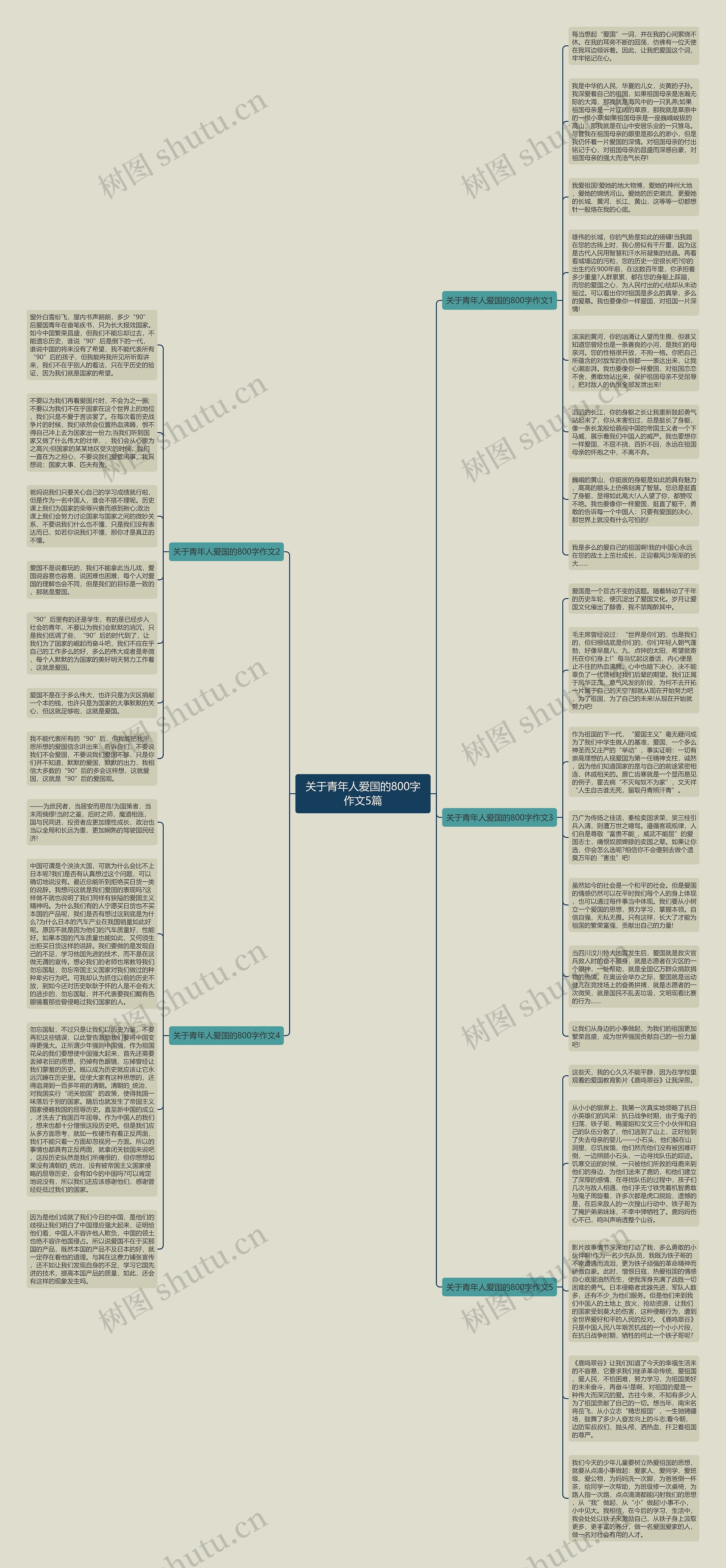 关于青年人爱国的800字作文5篇思维导图