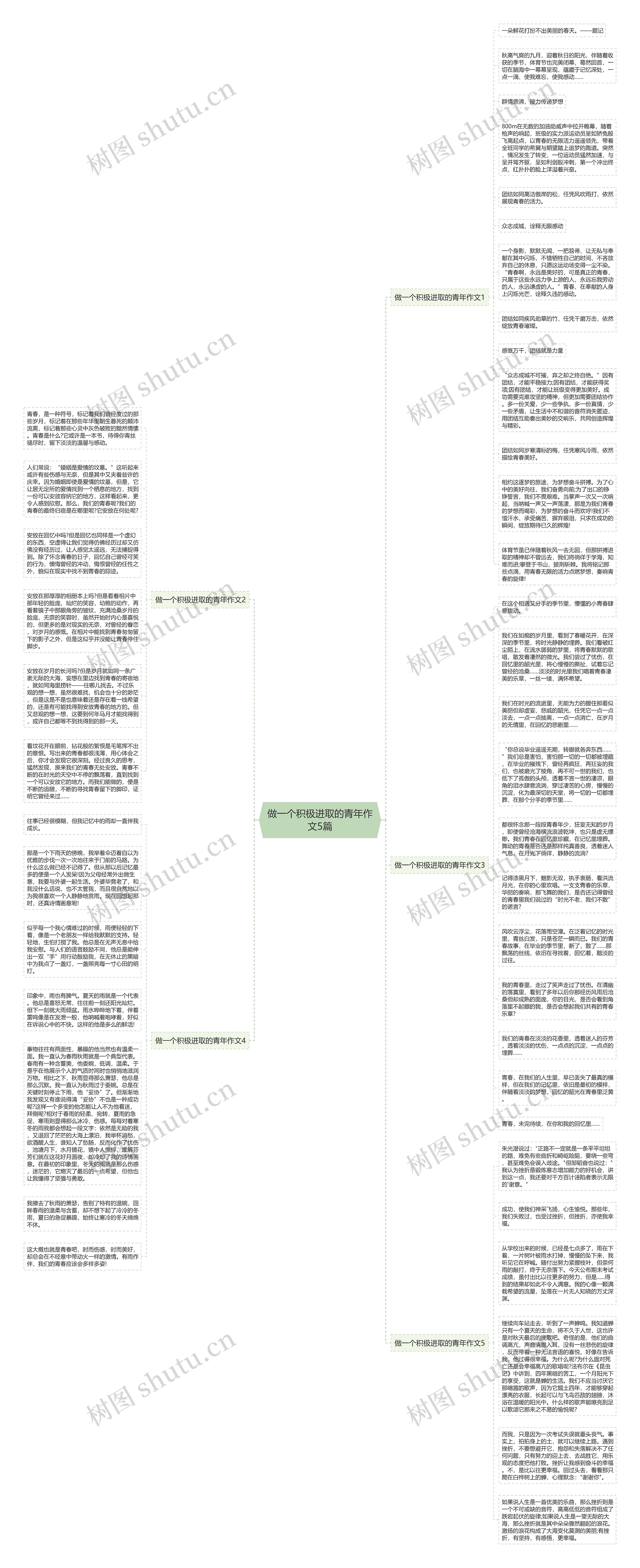 做一个积极进取的青年作文5篇思维导图