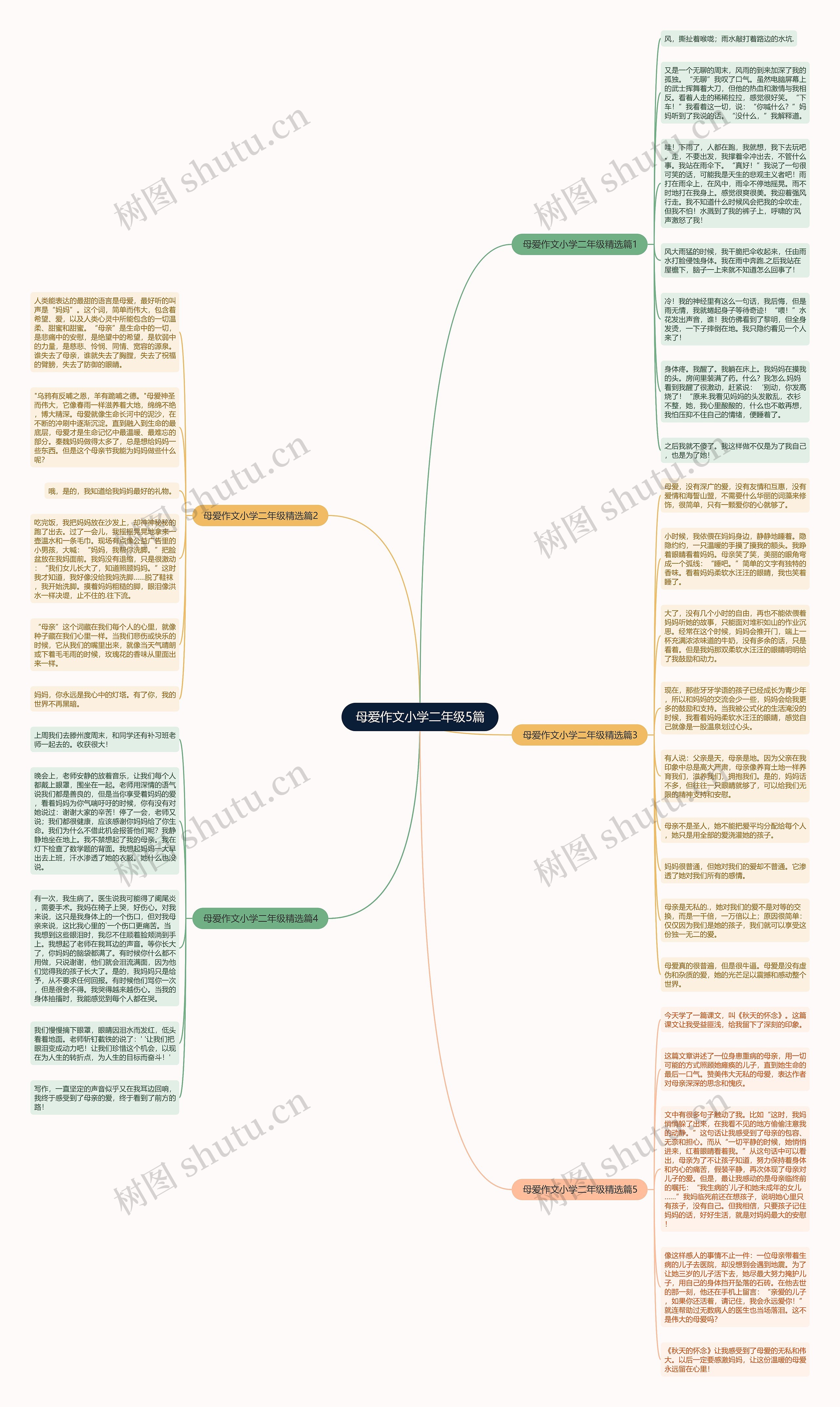 母爱作文小学二年级5篇思维导图