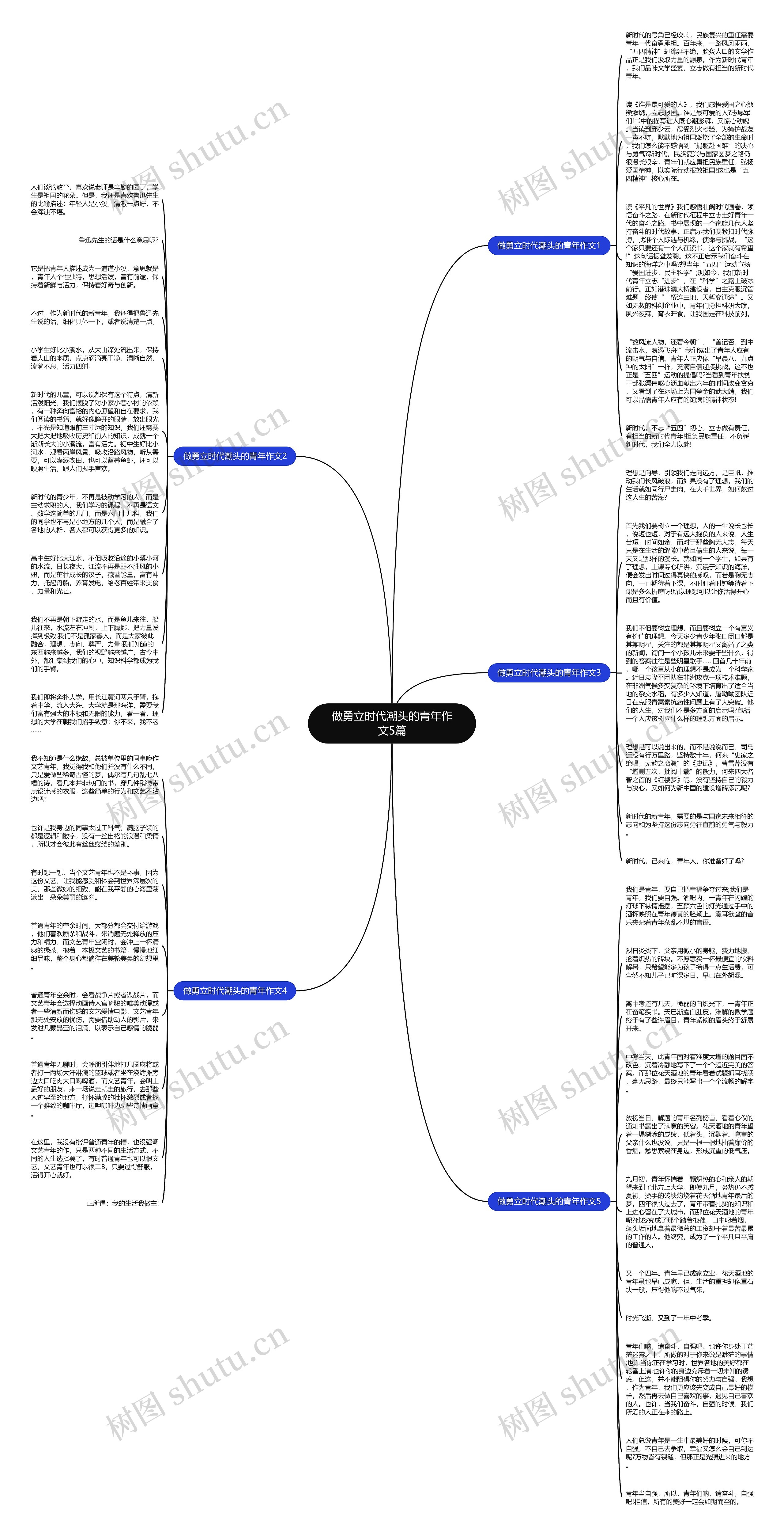 做勇立时代潮头的青年作文5篇思维导图