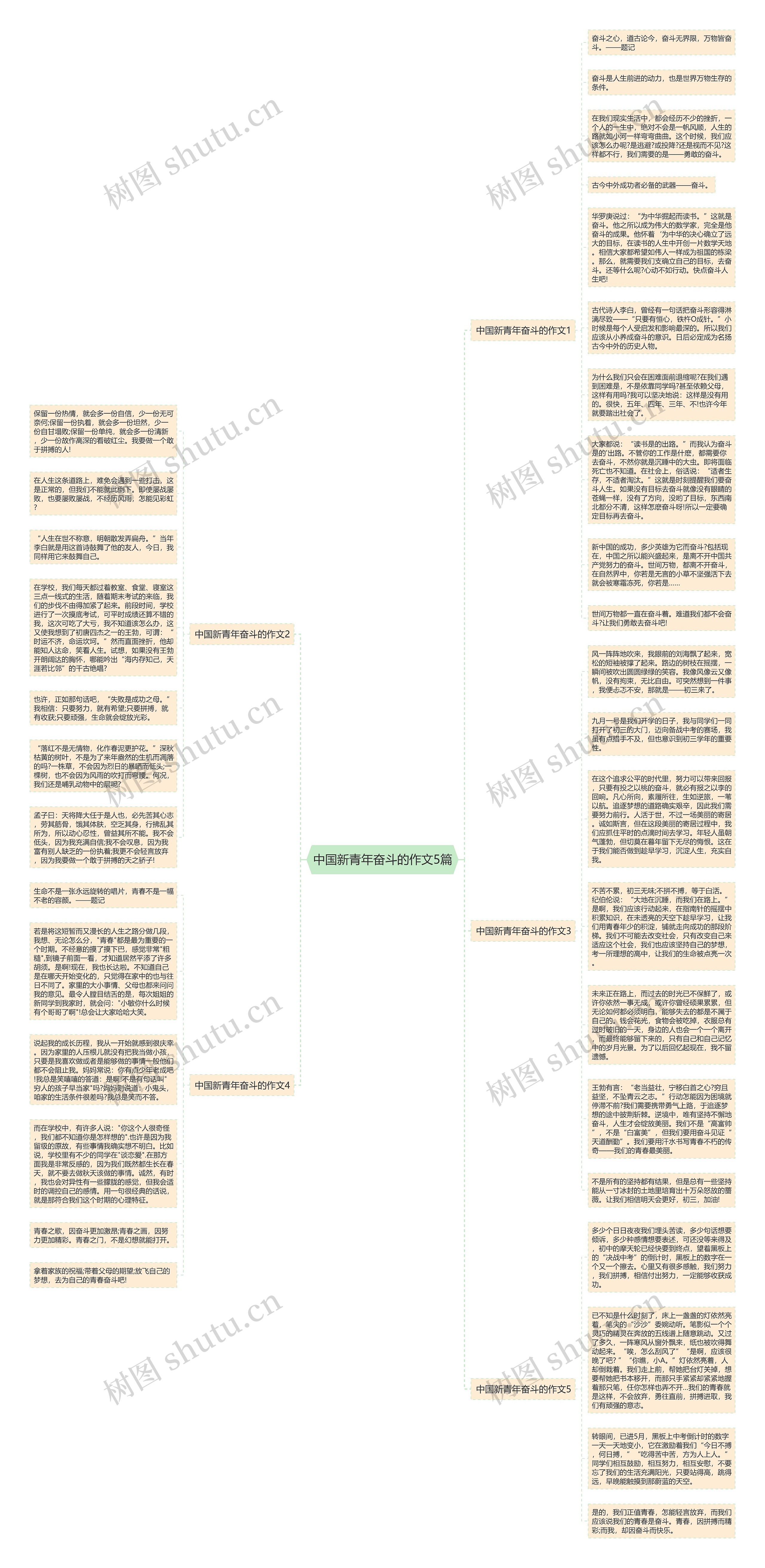 中国新青年奋斗的作文5篇思维导图