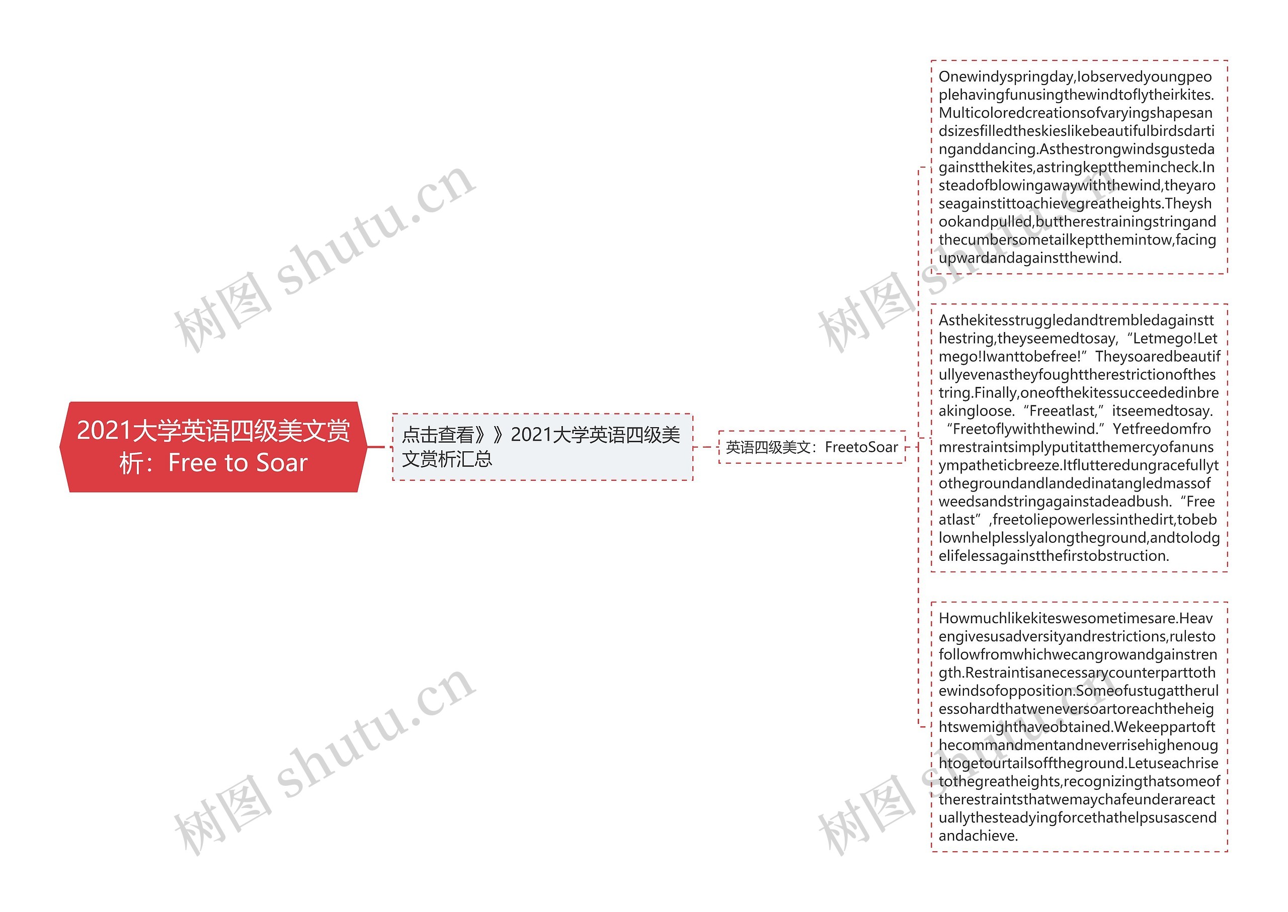 2021大学英语四级美文赏析：Free to Soar思维导图