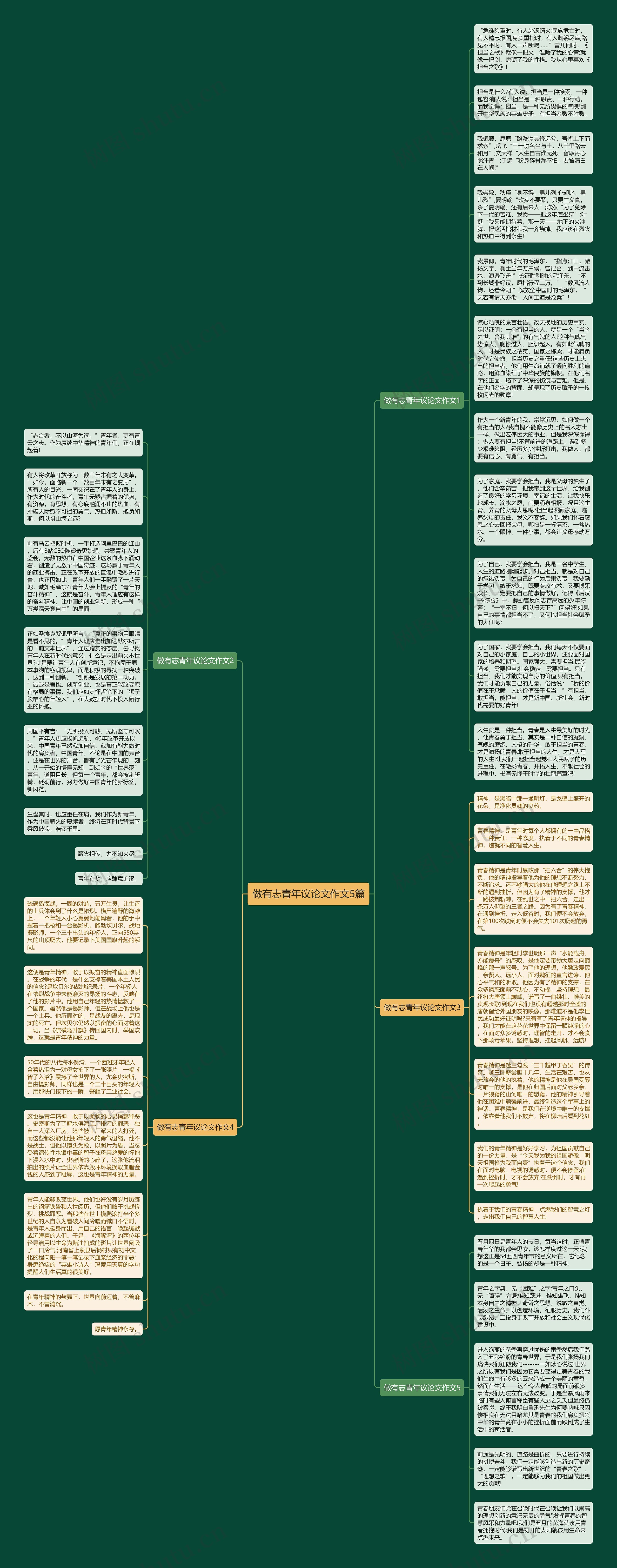 做有志青年议论文作文5篇思维导图