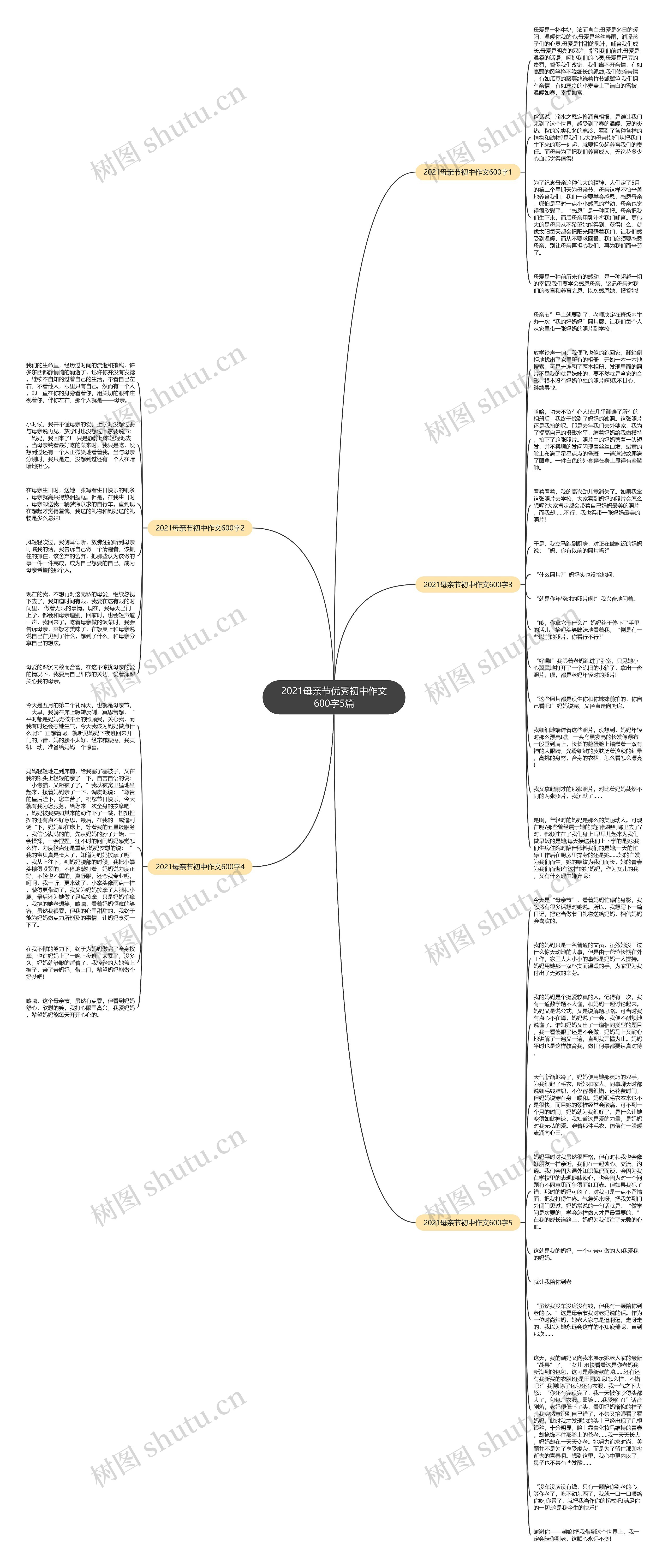 2021母亲节优秀初中作文600字5篇思维导图