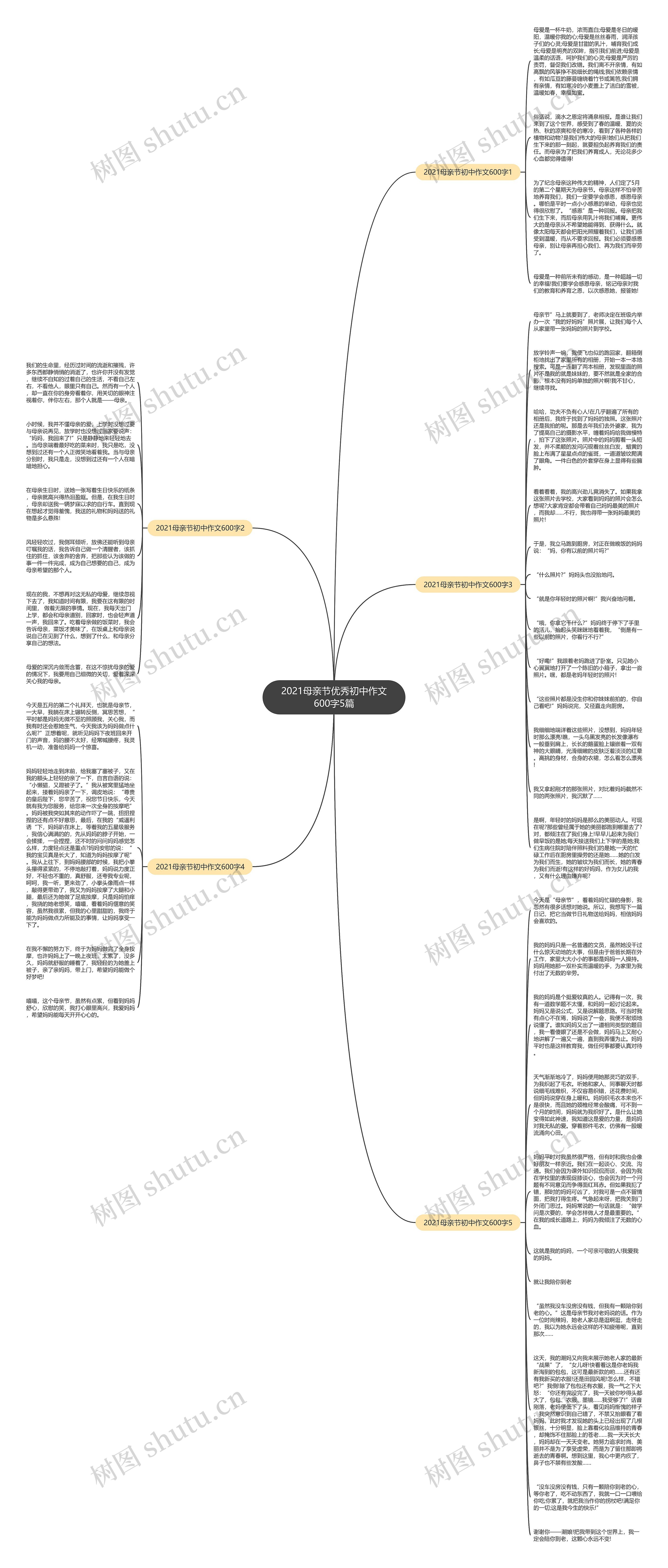 2021母亲节优秀初中作文600字5篇思维导图高清图 2021母亲节优秀初中作文600字5篇思维导图