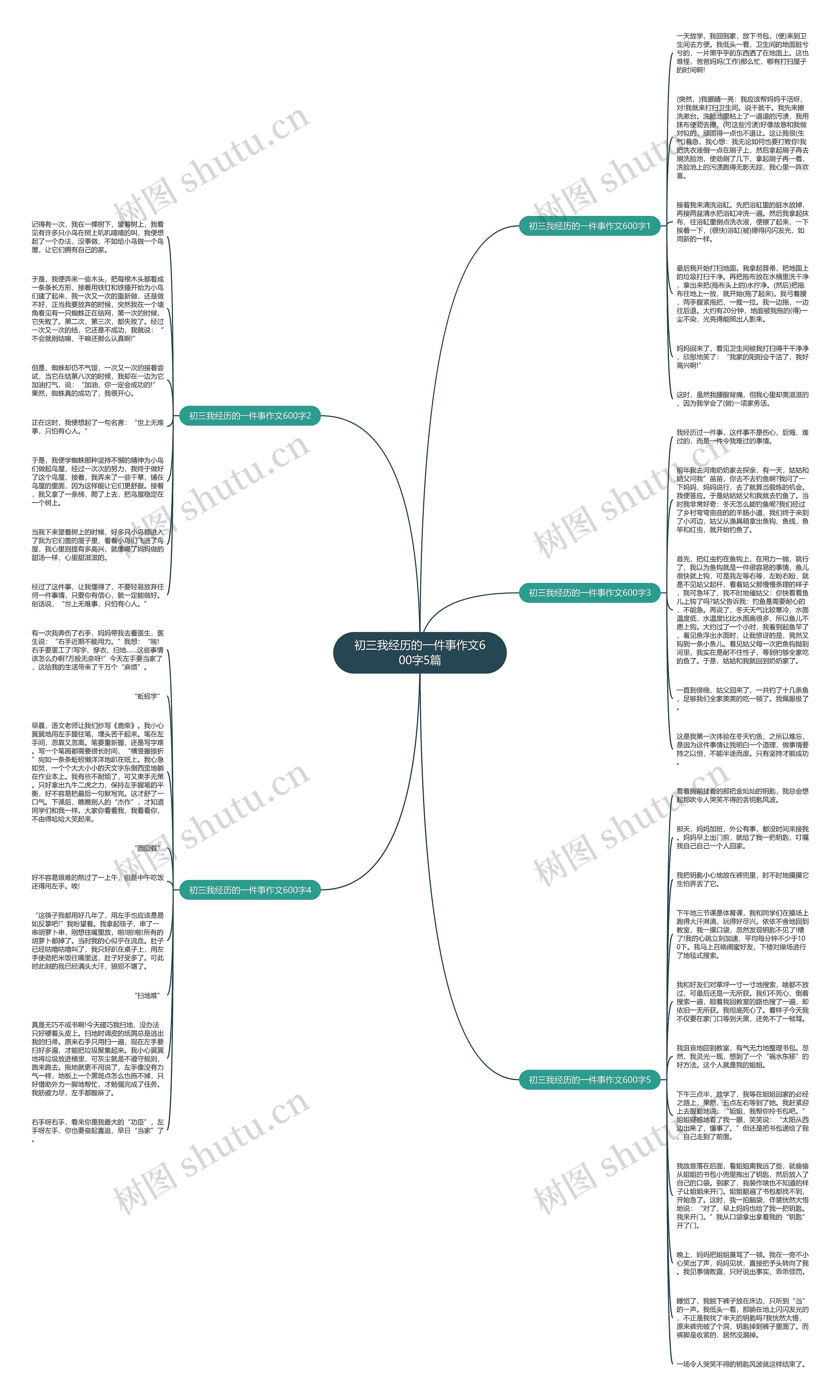 初三我经历的一件事作文600字5篇思维导图