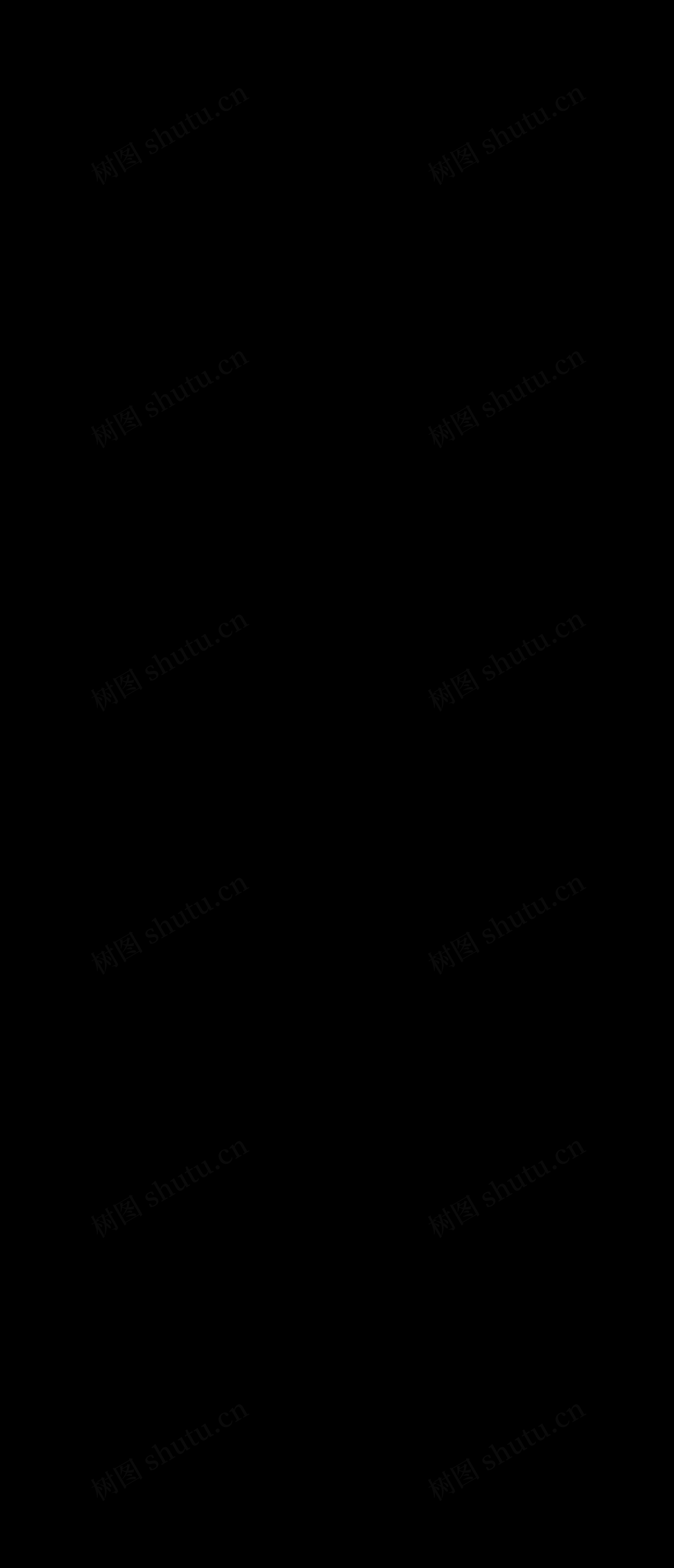 大学英语六级单词表乱序版（十九）