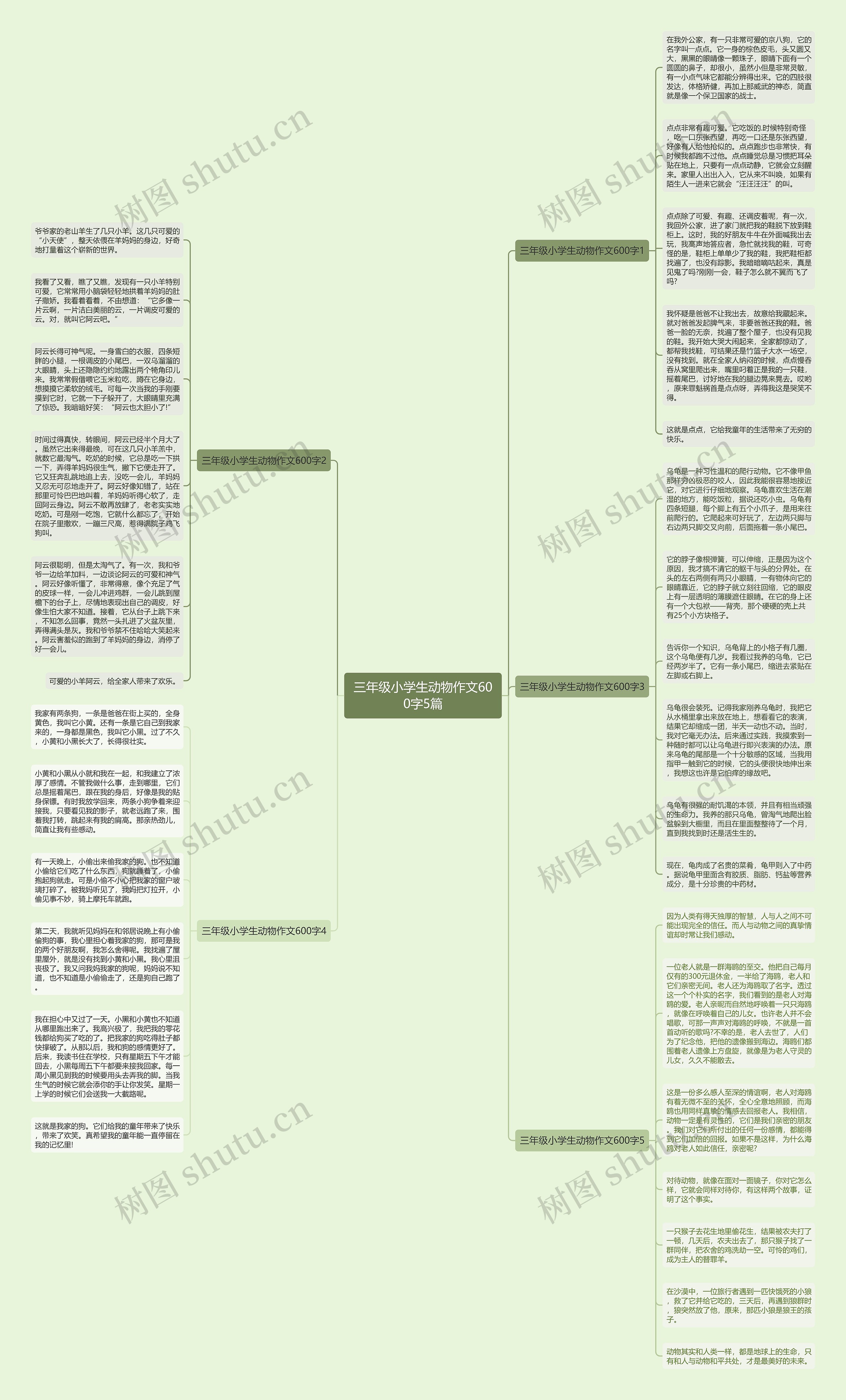 三年级小学生动物作文600字5篇思维导图