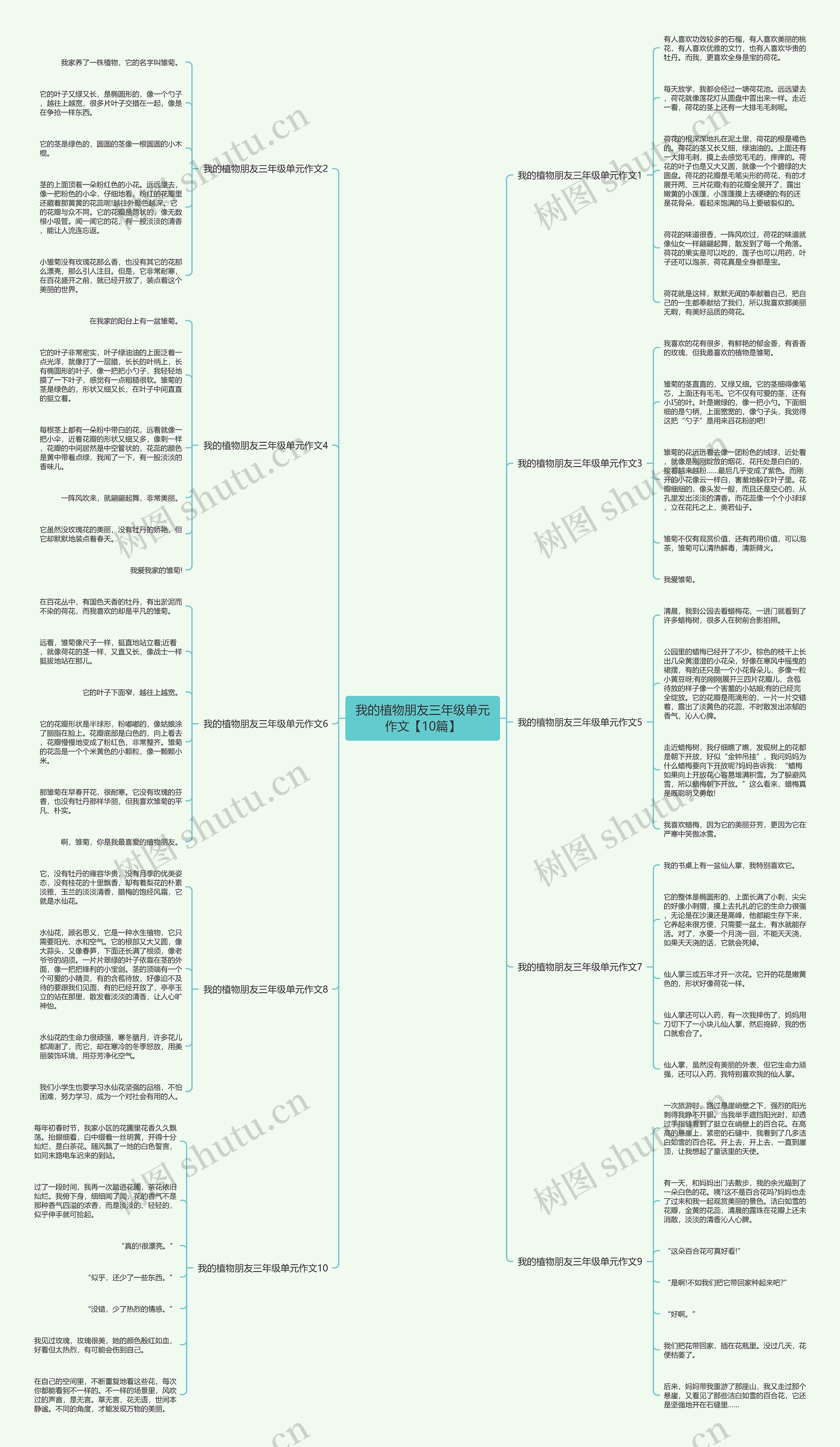 我的植物朋友三年级单元作文【10篇】思维导图