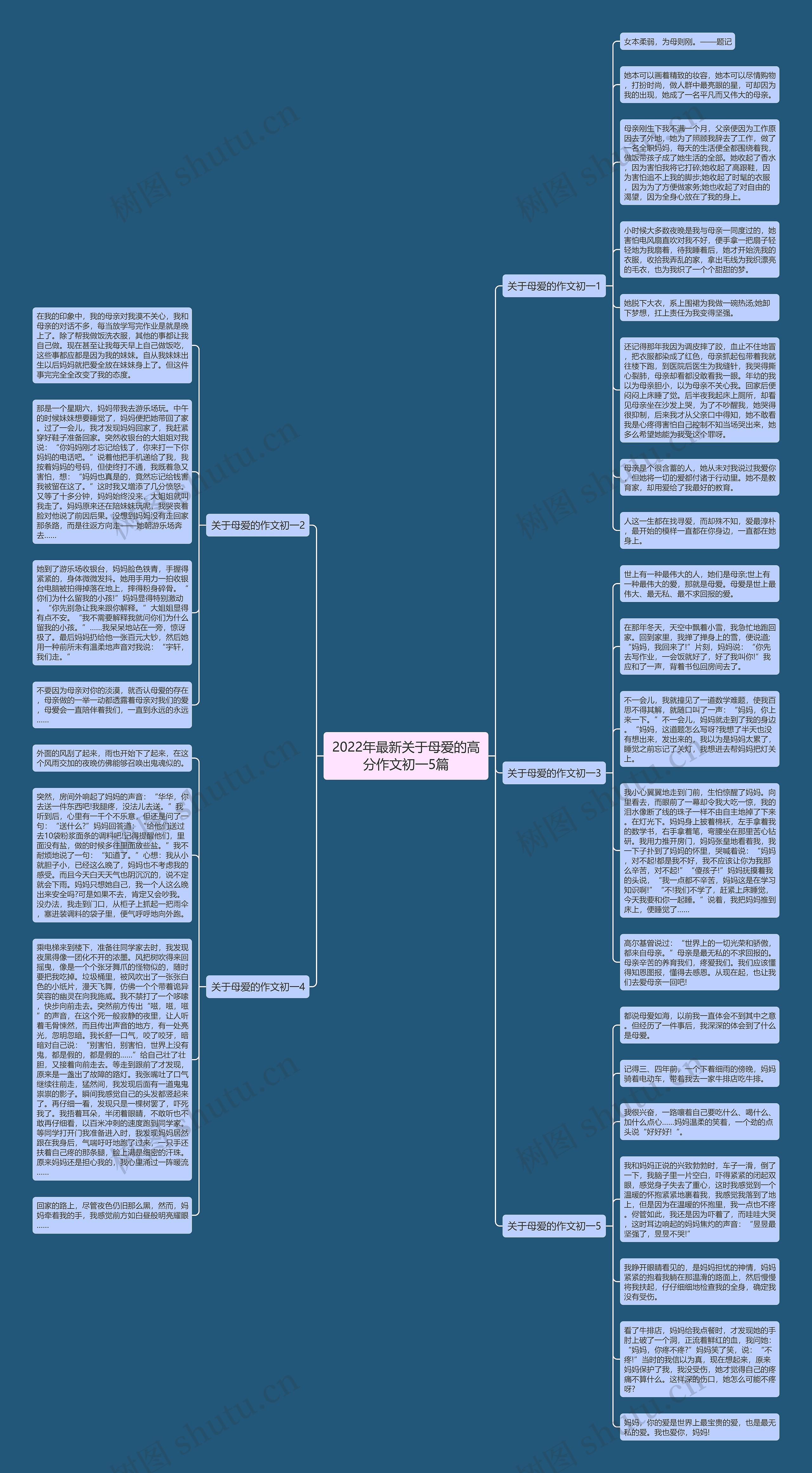 2022年最新关于母爱的高分作文初一5篇思维导图