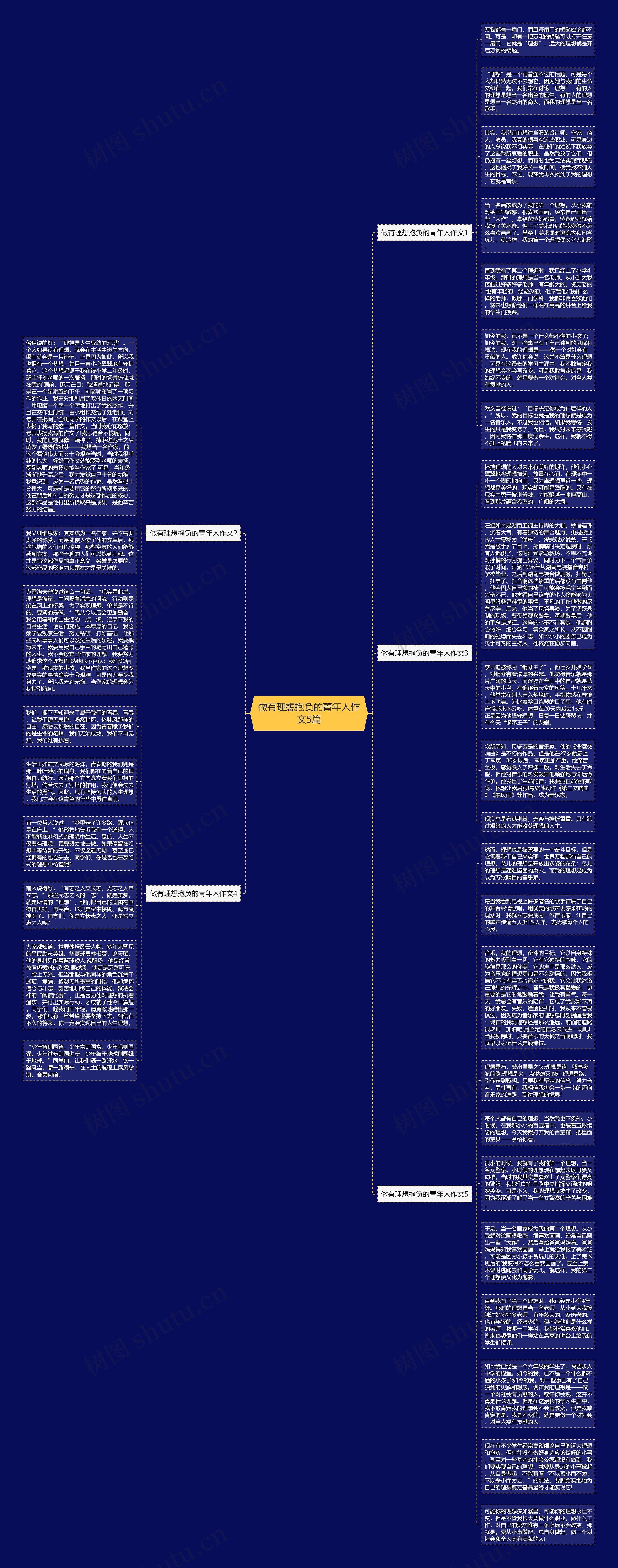 做有理想抱负的青年人作文5篇思维导图