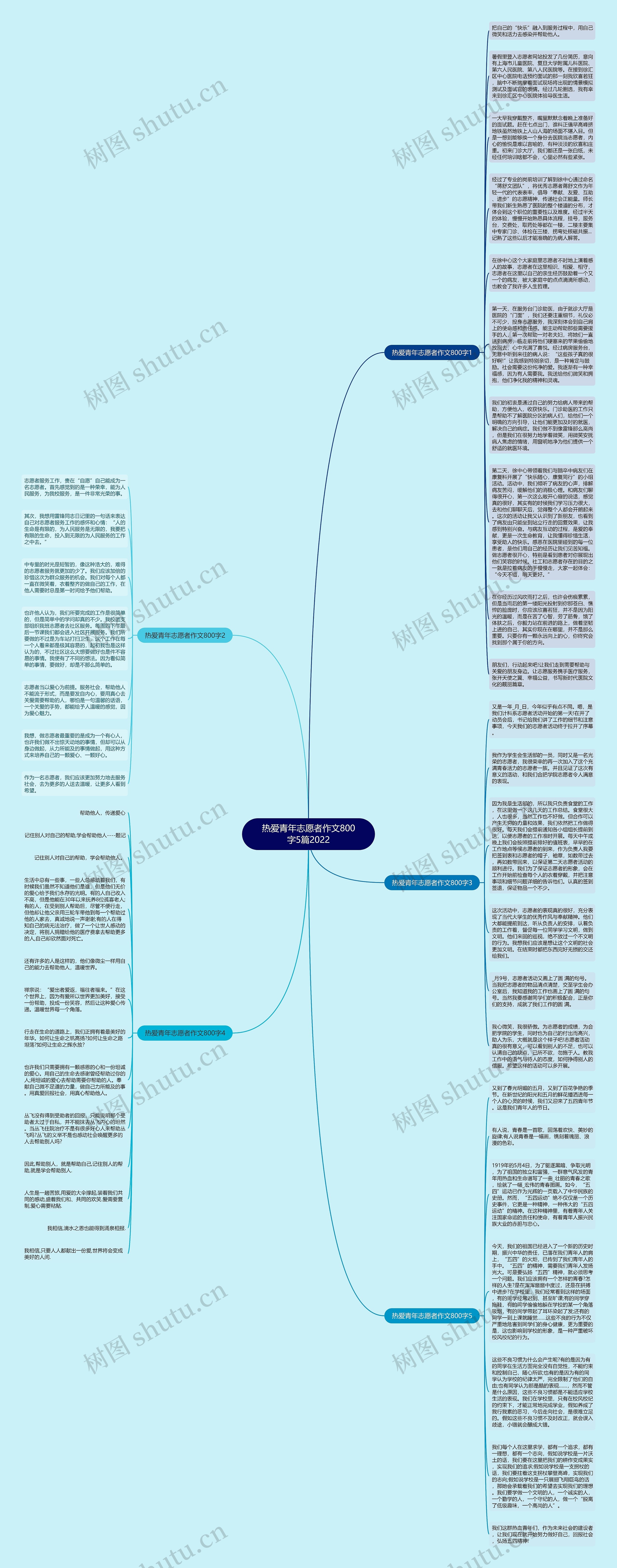 热爱青年志愿者作文800字5篇2022
