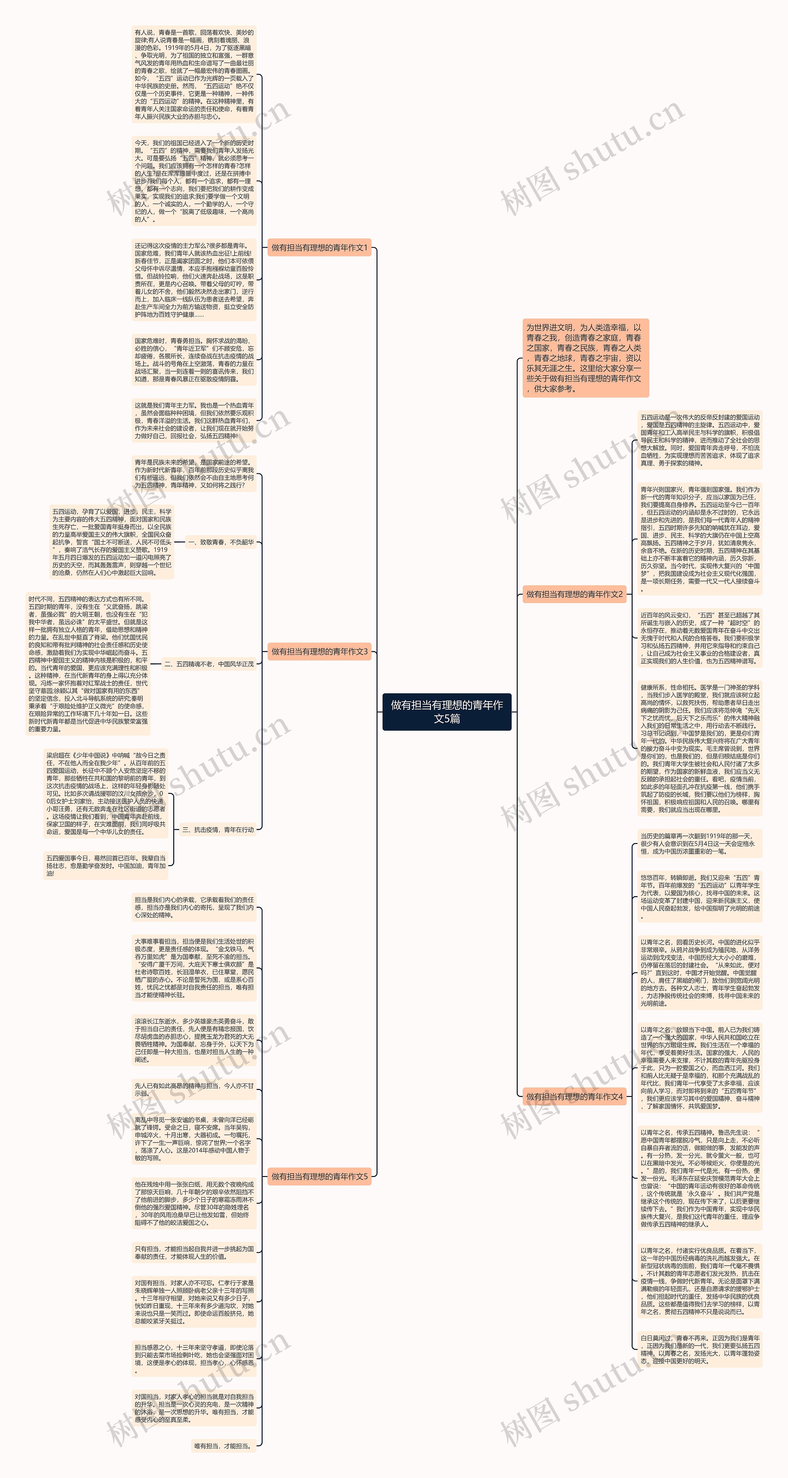 做有担当有理想的青年作文5篇思维导图