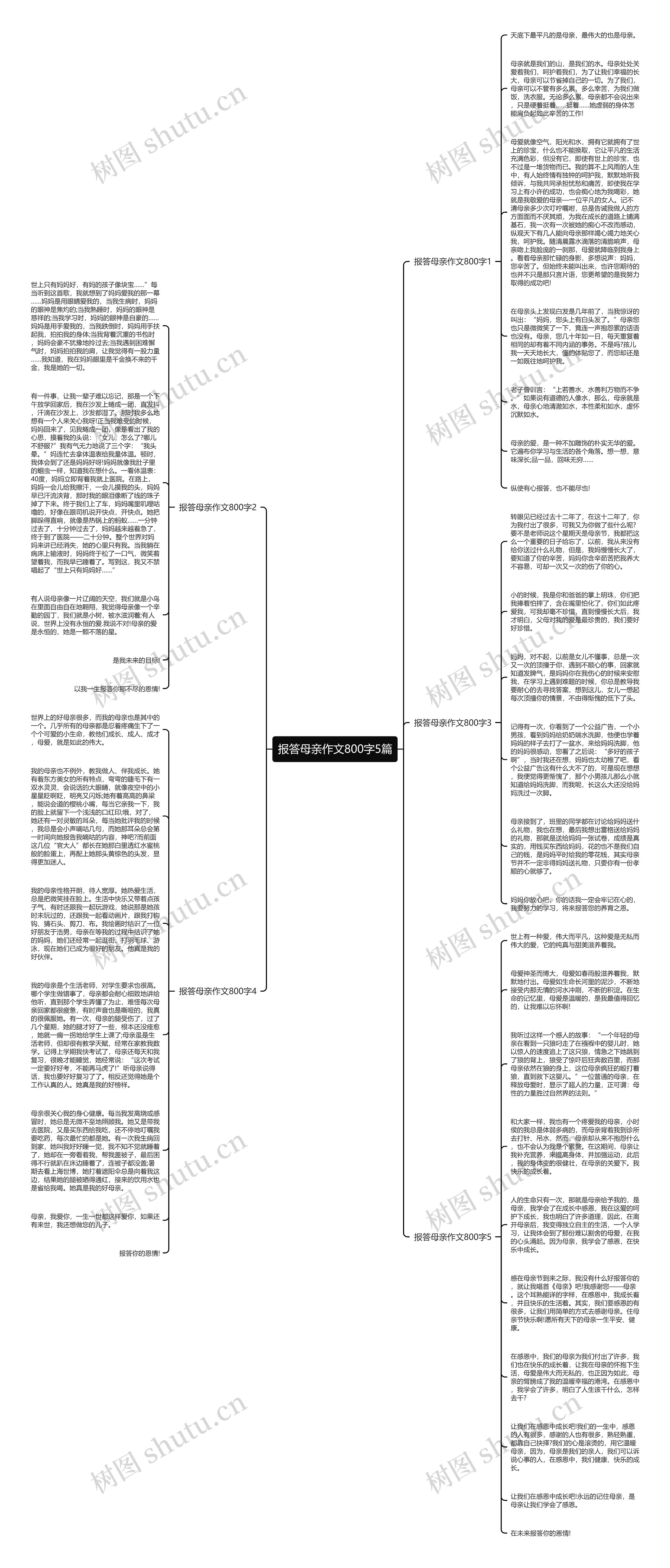 报答母亲作文800字5篇思维导图
