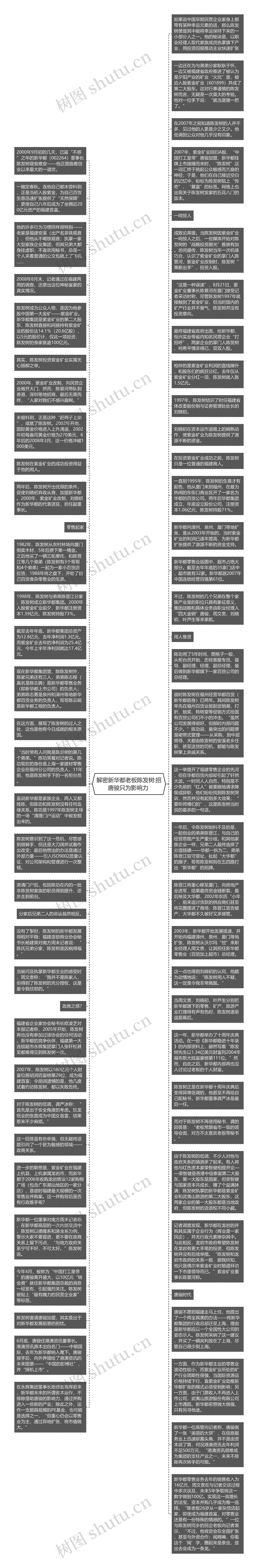 解密新华都老板陈发树:招唐骏只为影响力 