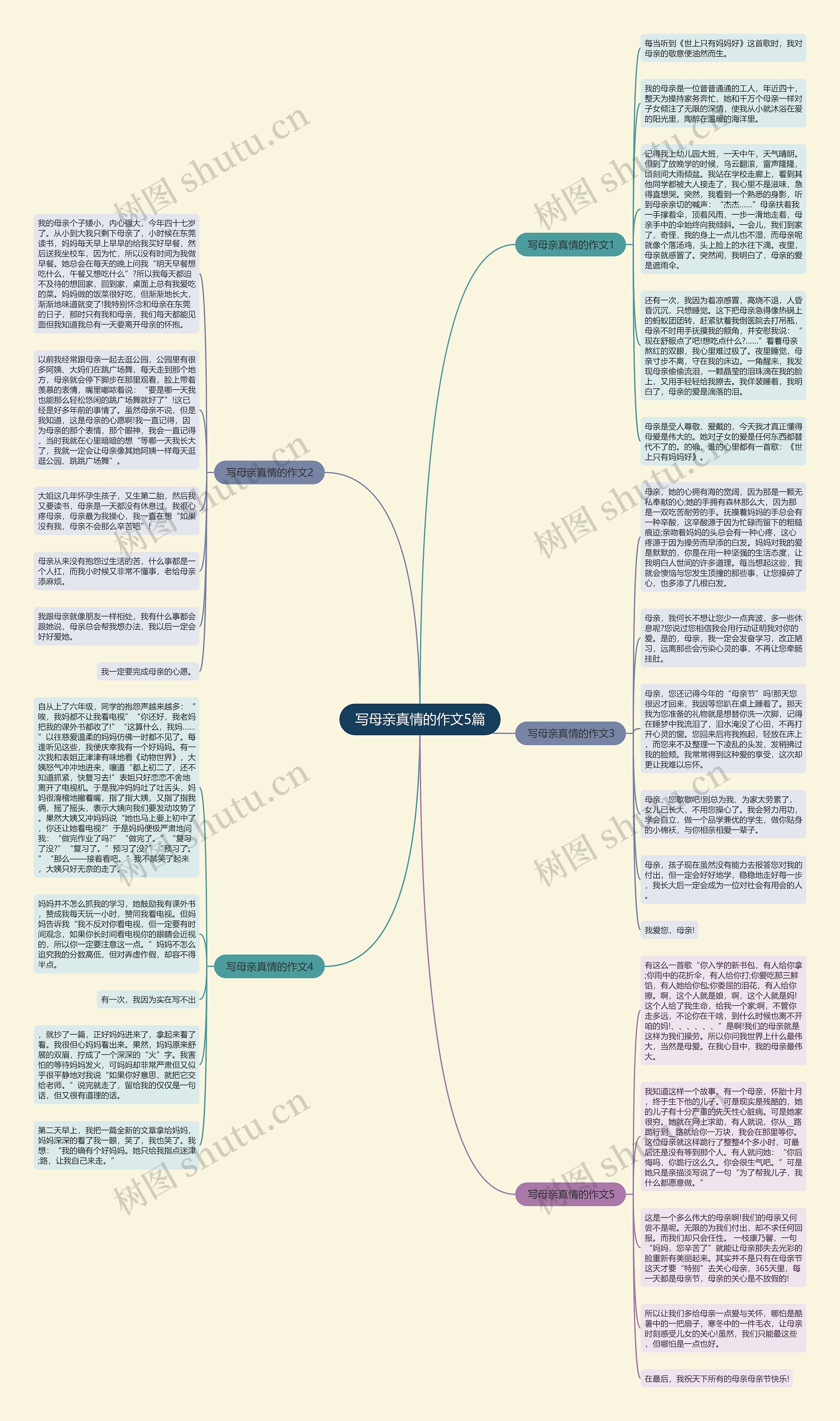 写母亲真情的作文5篇思维导图
