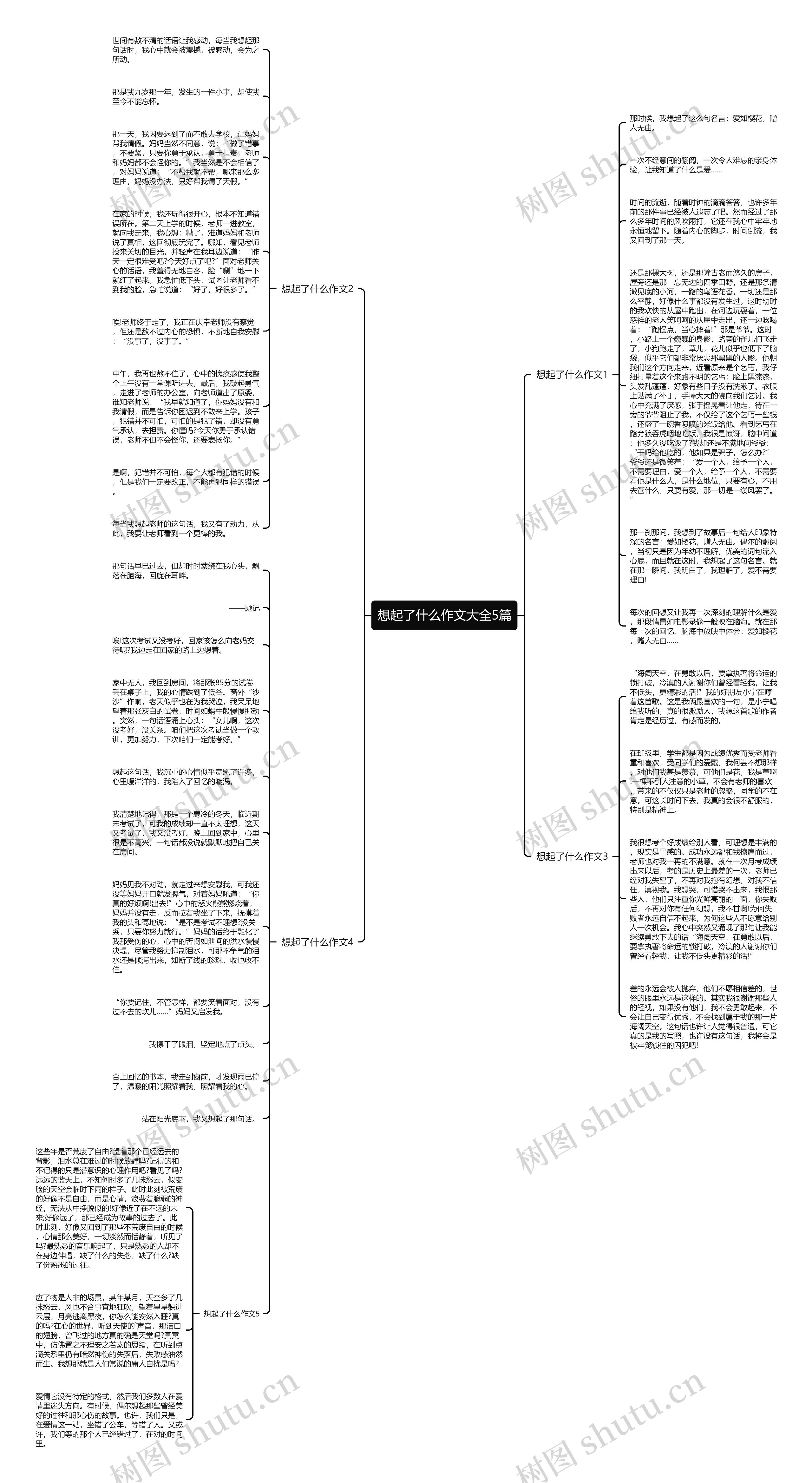 想起了什么作文大全5篇