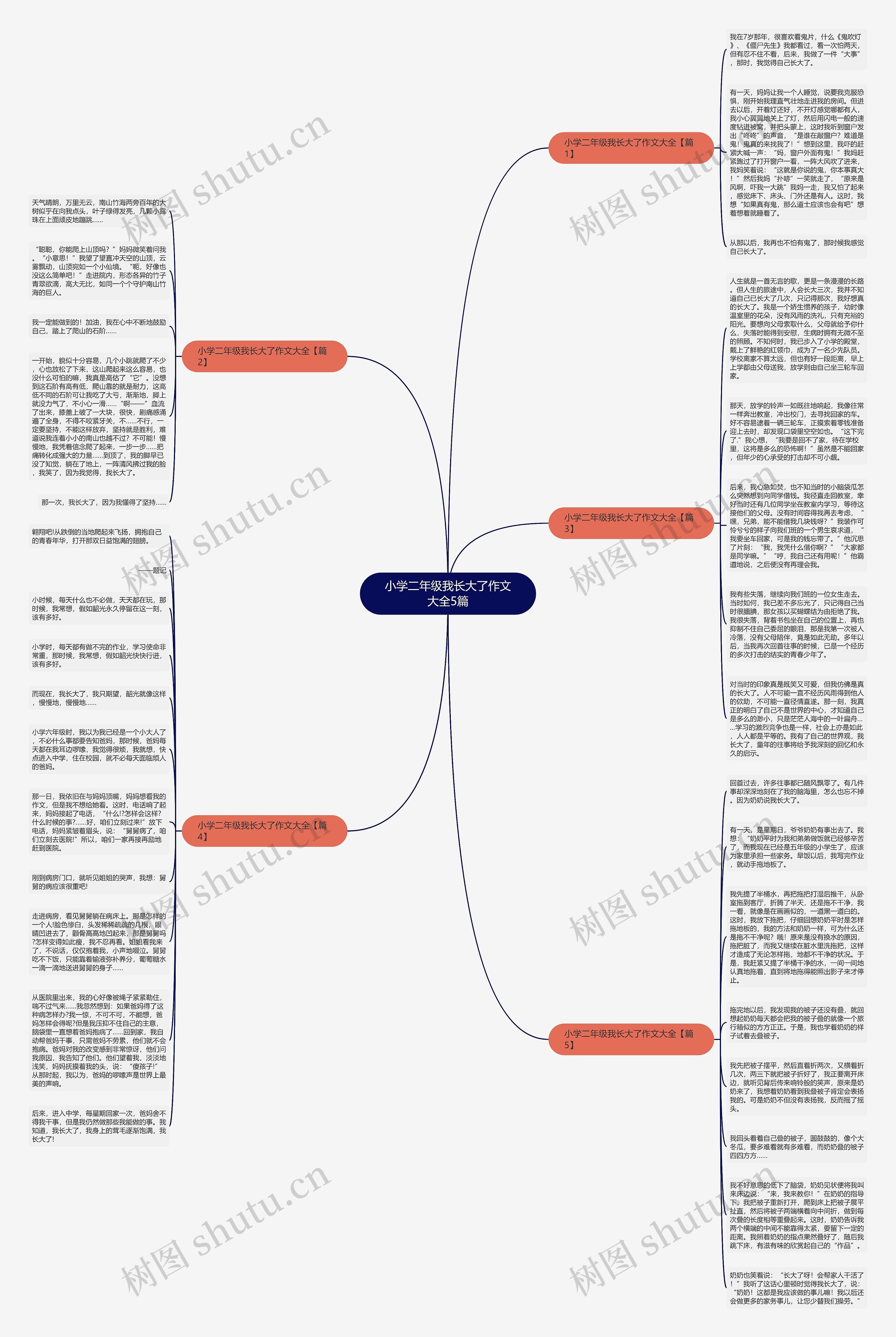小学二年级我长大了作文大全5篇思维导图