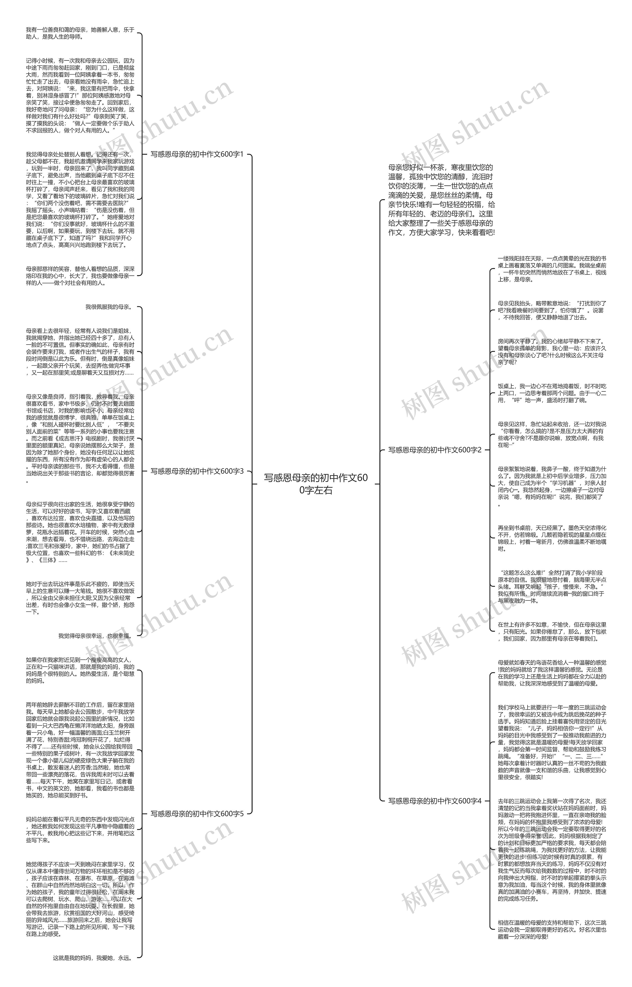 写感恩母亲的初中作文600字左右思维导图