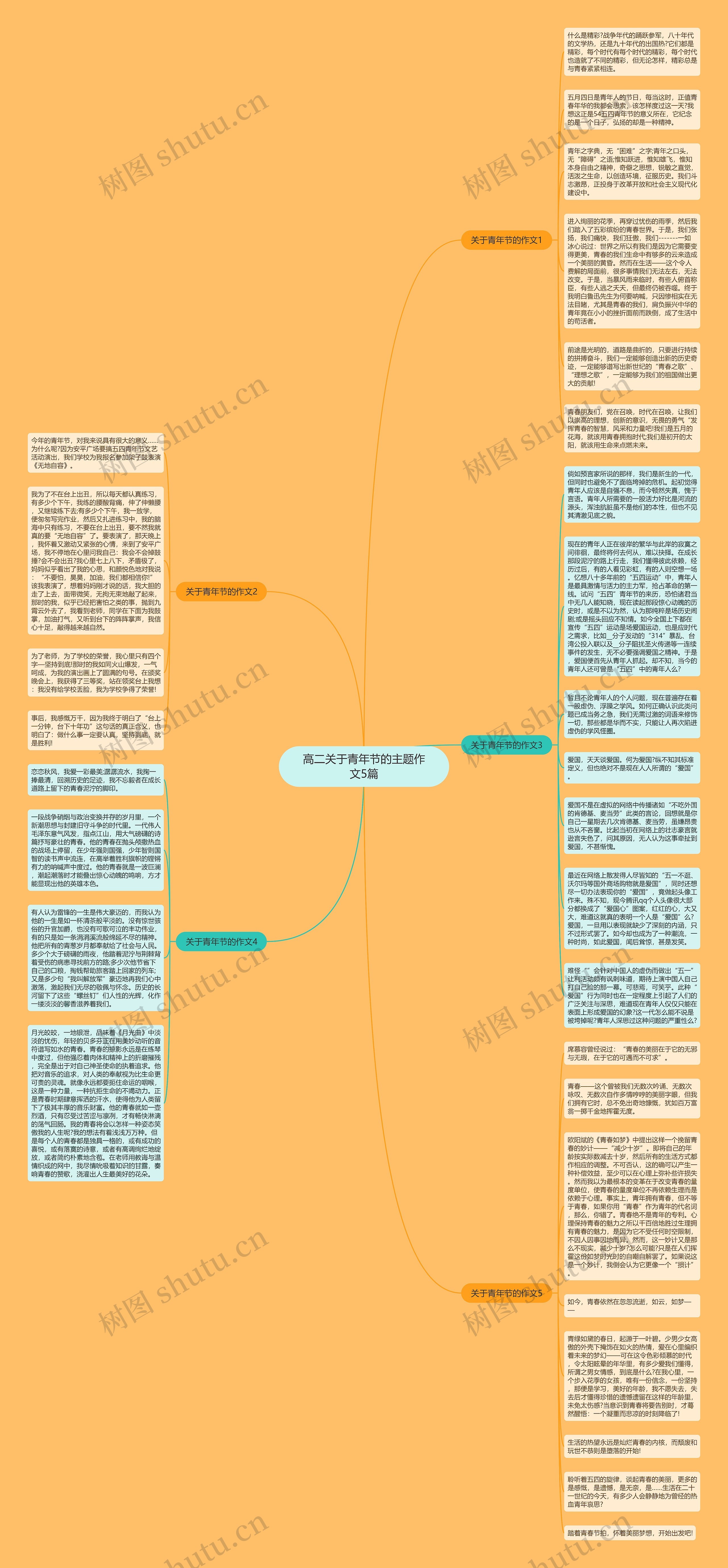 高二关于青年节的主题作文5篇思维导图