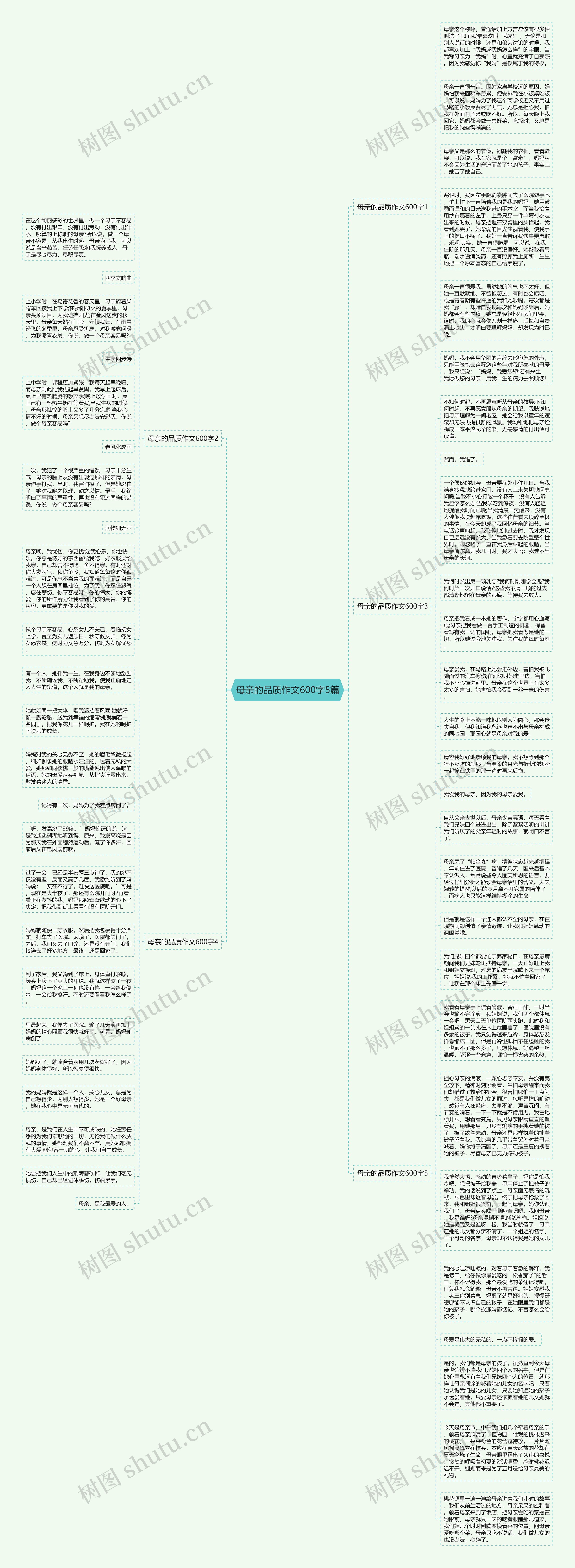 母亲的品质作文600字5篇思维导图